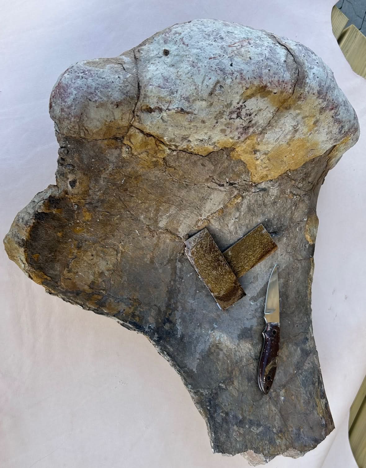 Dinosaur Fossil Fragment 20x35x20mm
