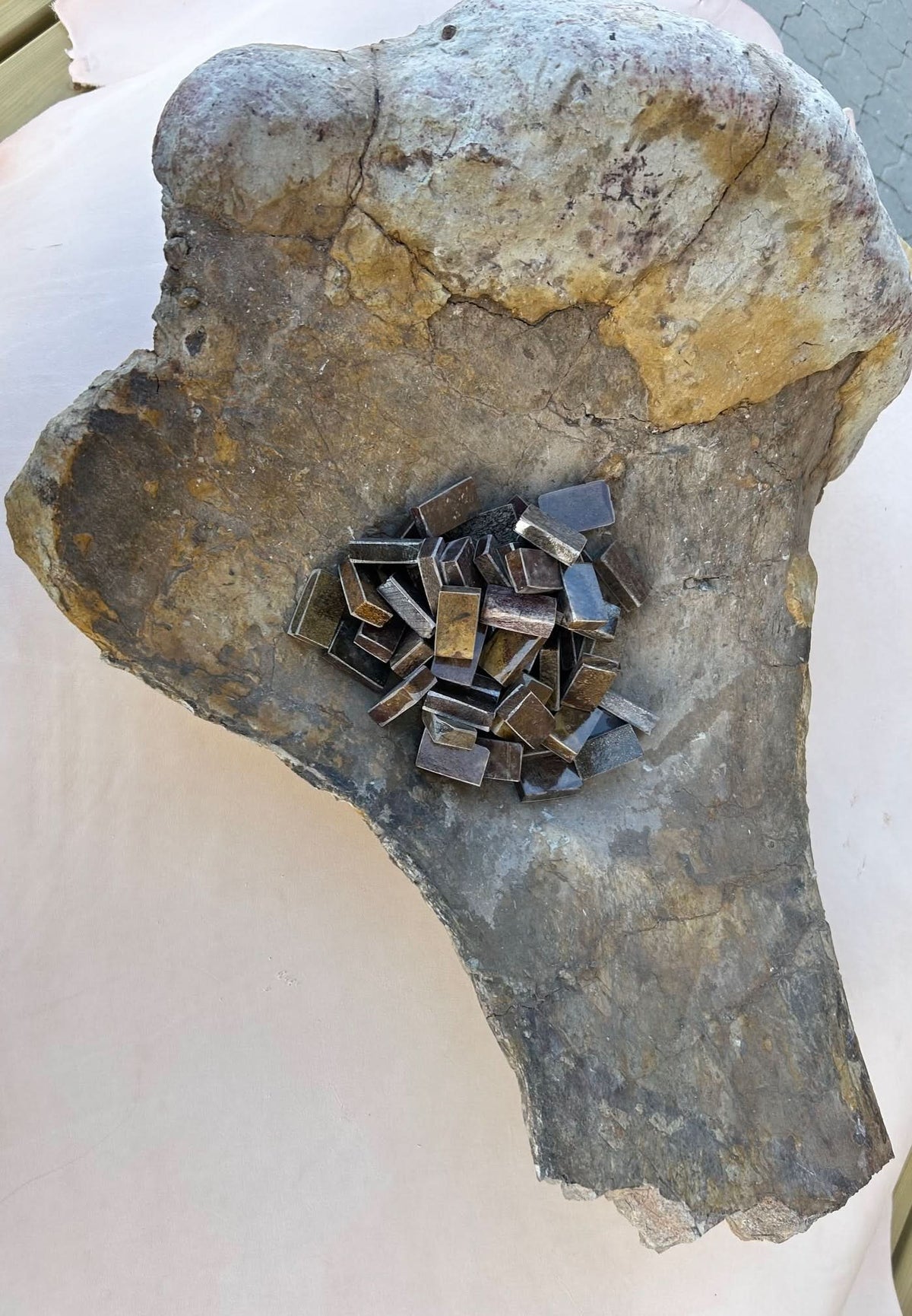 Dinosaur Fossil Fragment 20x35x20mm