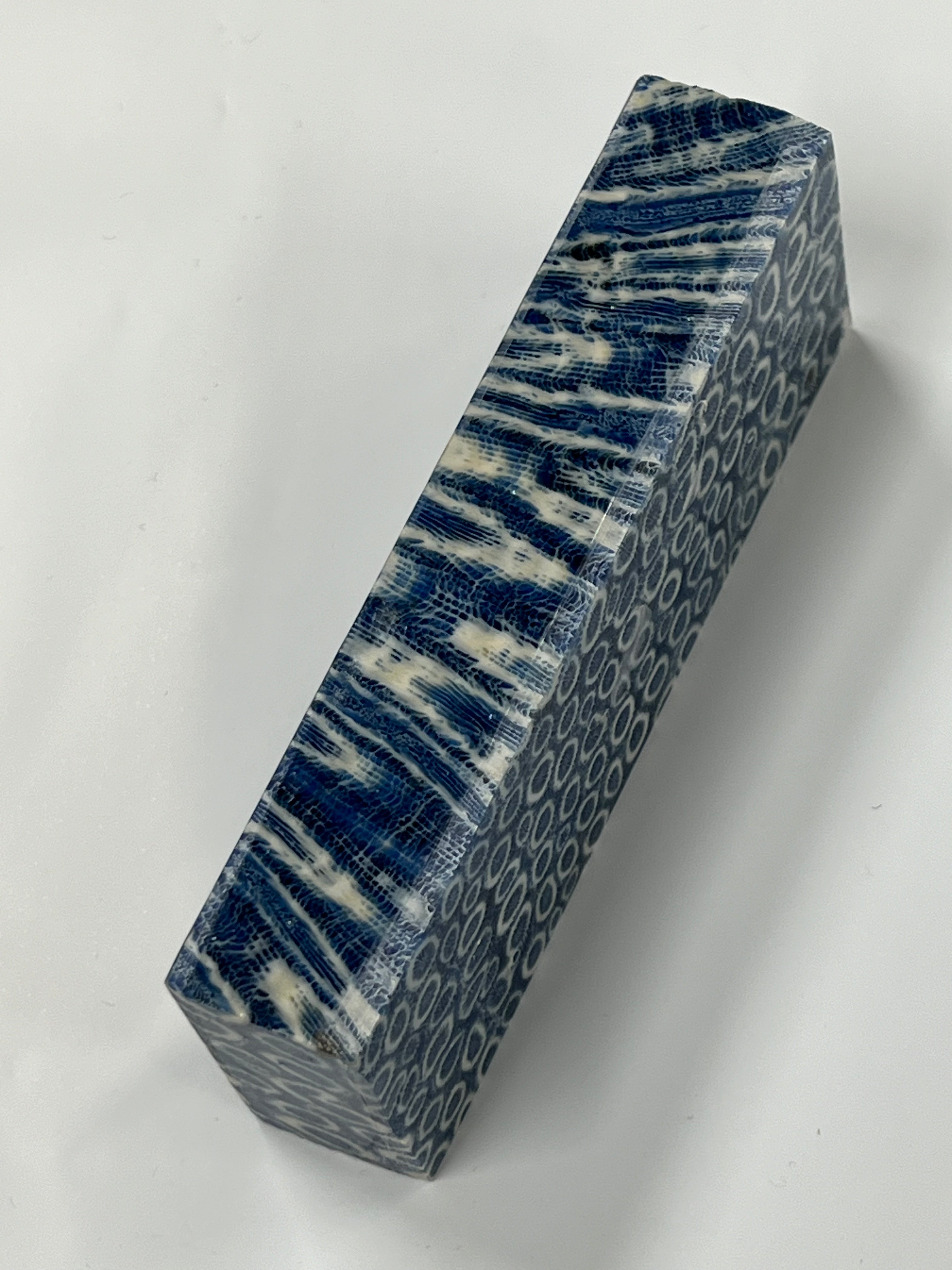 Fossil coral handle blank K1 (blue)