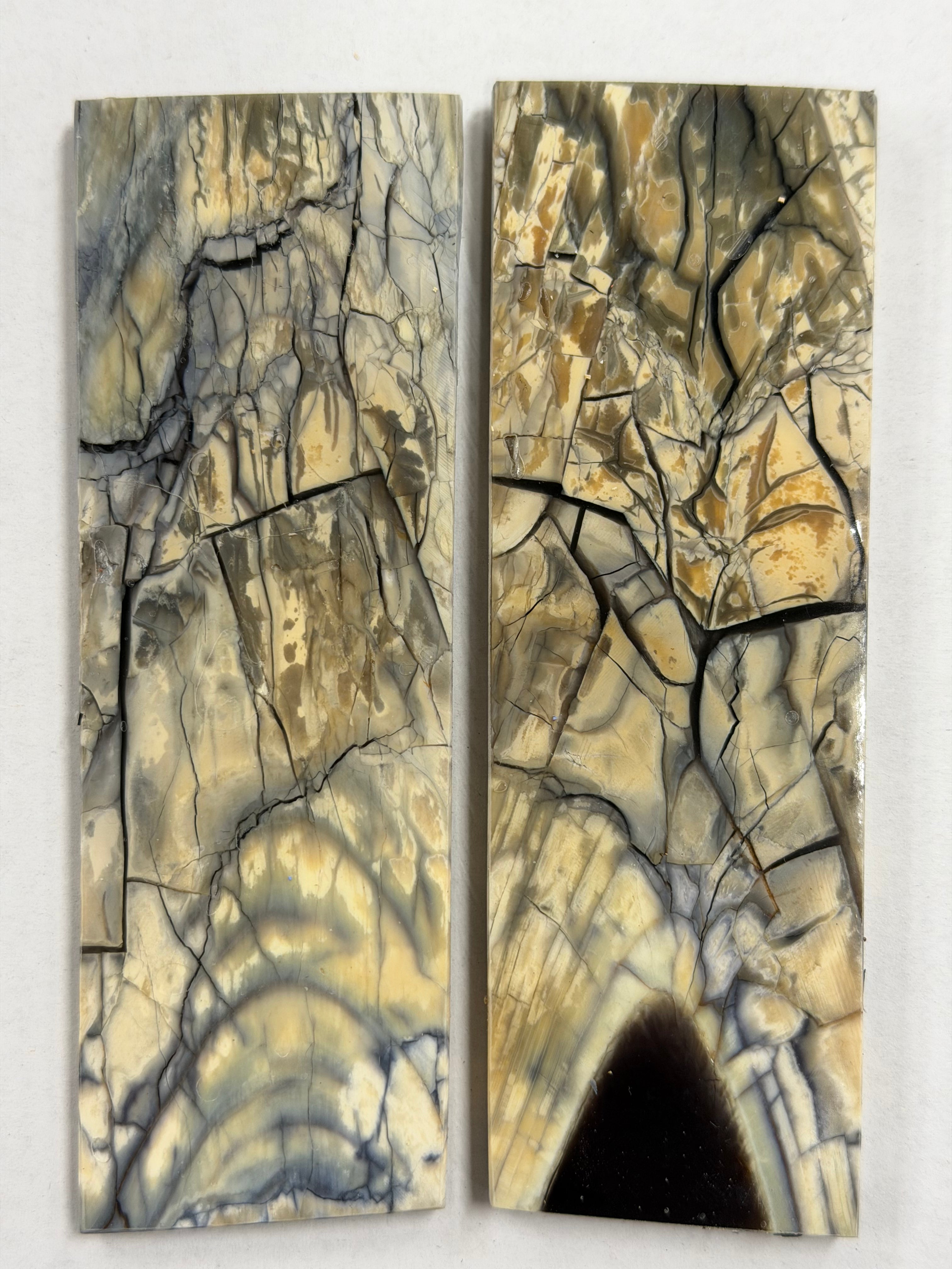 Mammoth tusk handle scales MSP-02