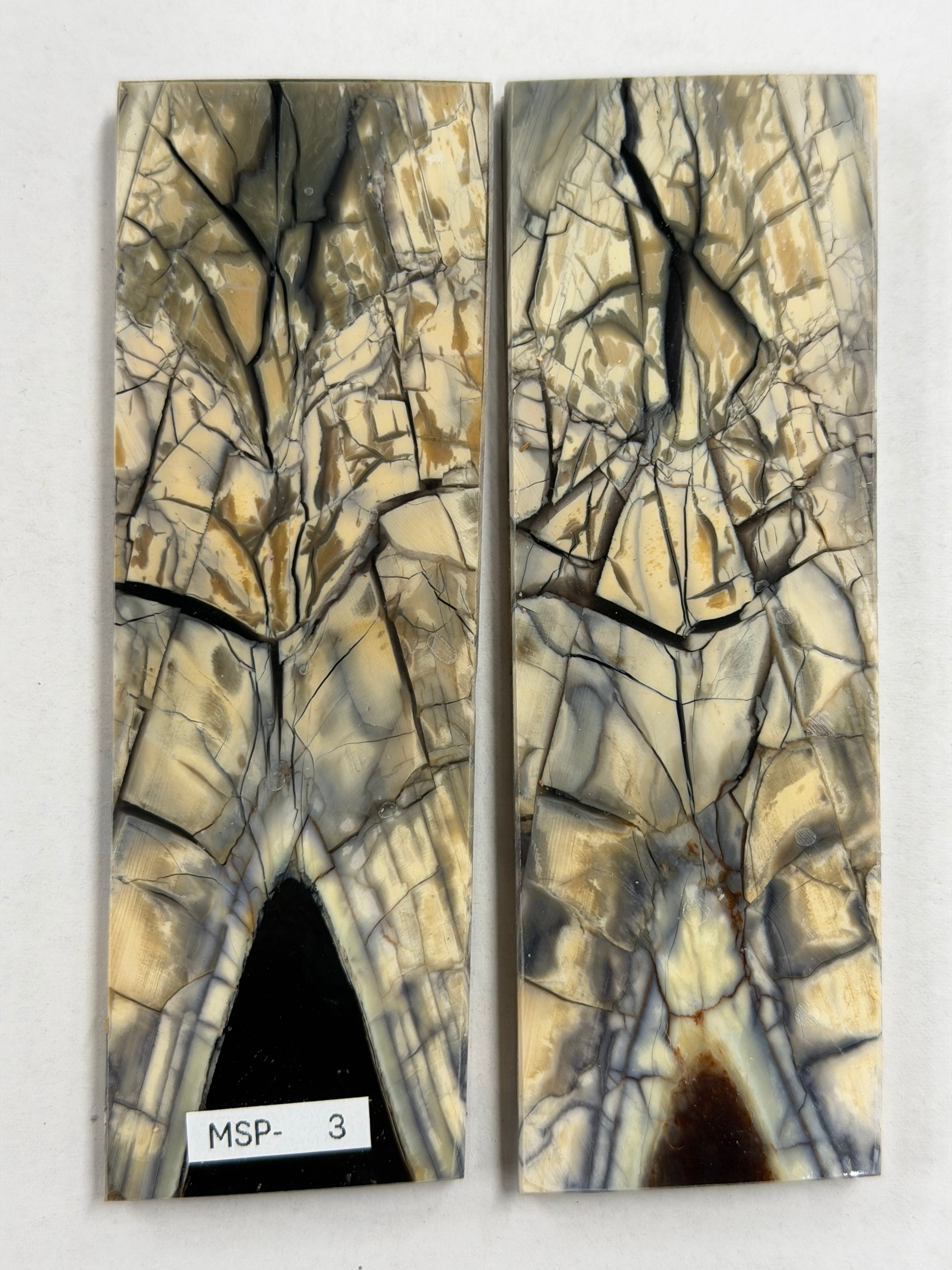 Mammoth tusk scale plates MSP-03