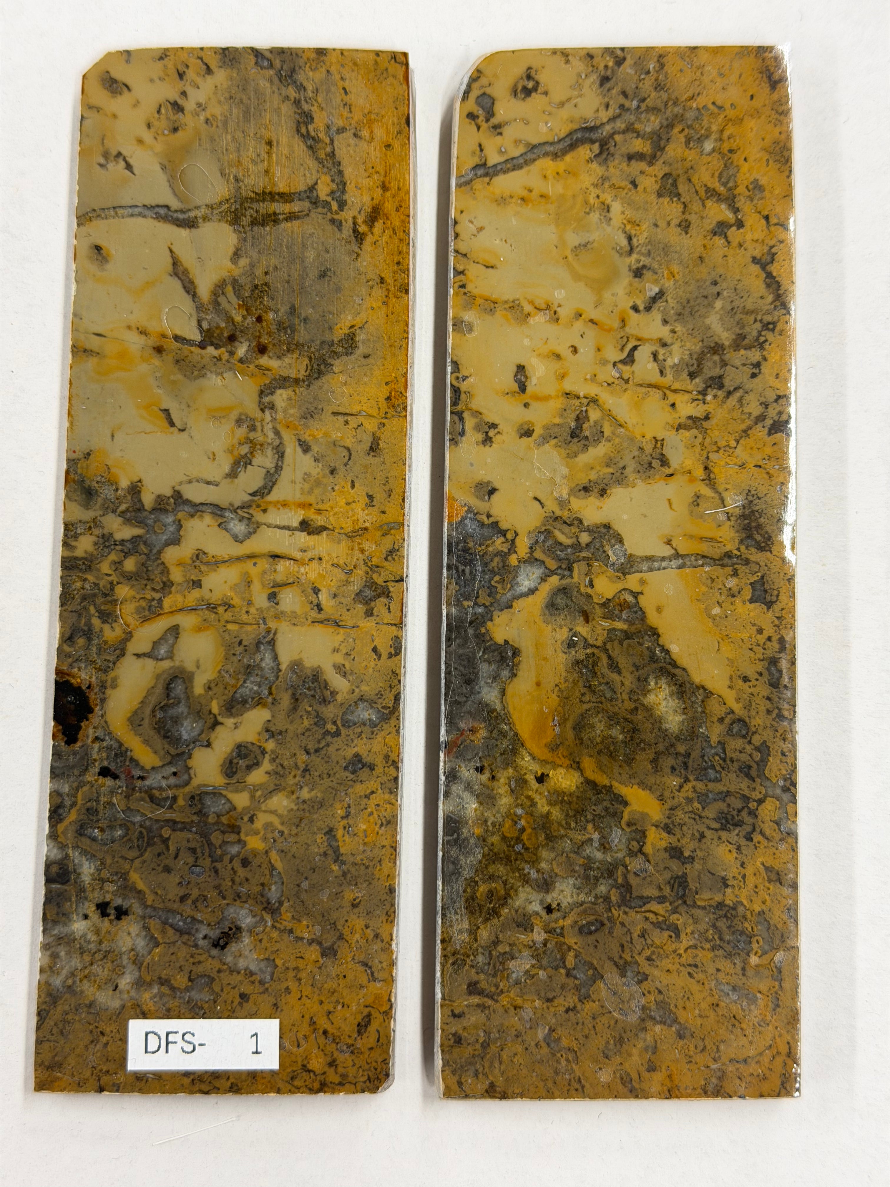 Dinosaur Fossil Handle Plate Set DFS-1