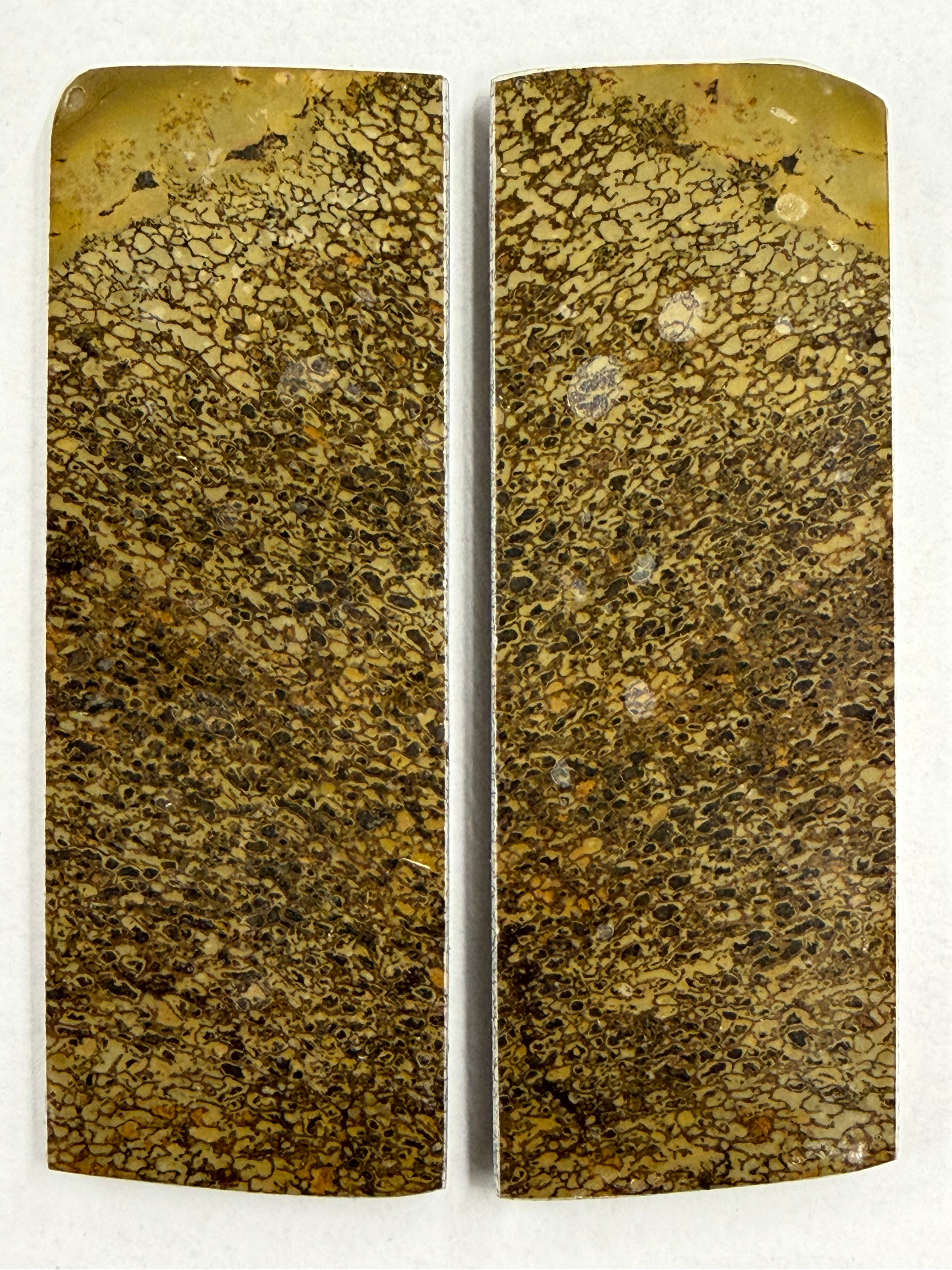 Dinosaur Fossil Handle Plate Set DFS-3