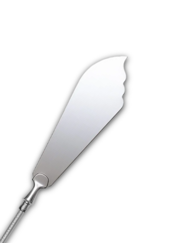 Blade Cake Knife