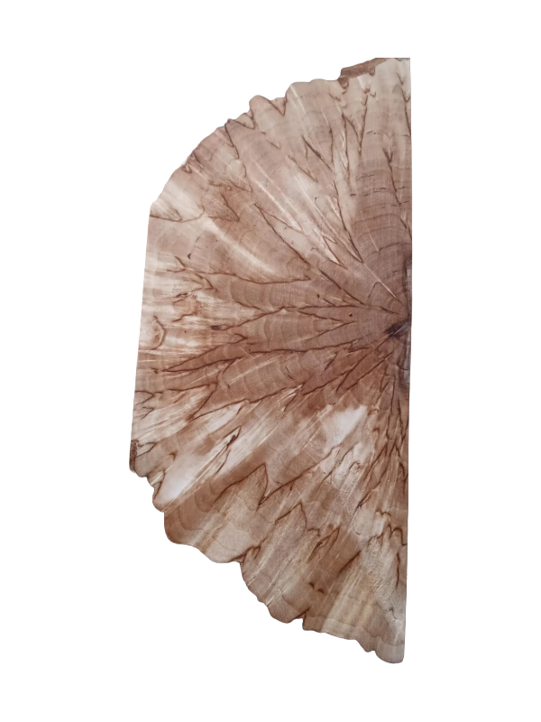 Natural Curly Birch Masur Birch Cross-cut approx. 30x40x140mm