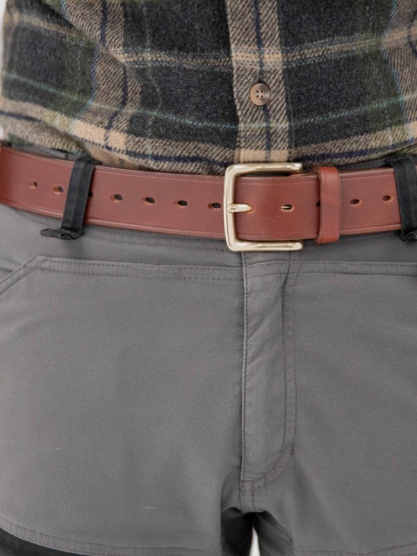 Casström forest belt