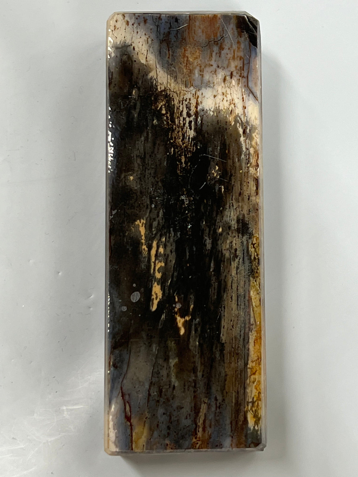Mammoth tusk handle blank M167