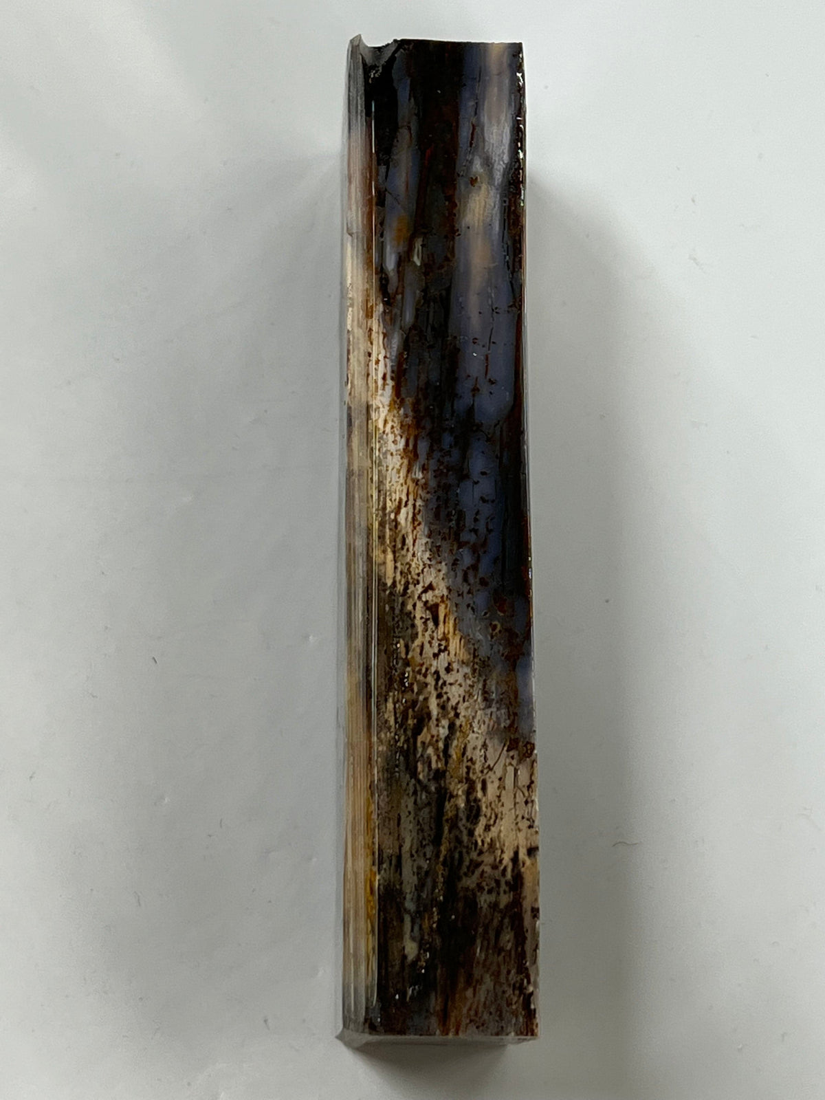 Mammoth tusk handle blank M167
