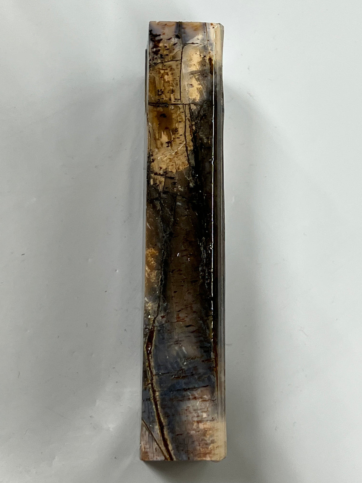 Mammoth tusk handle blank M167