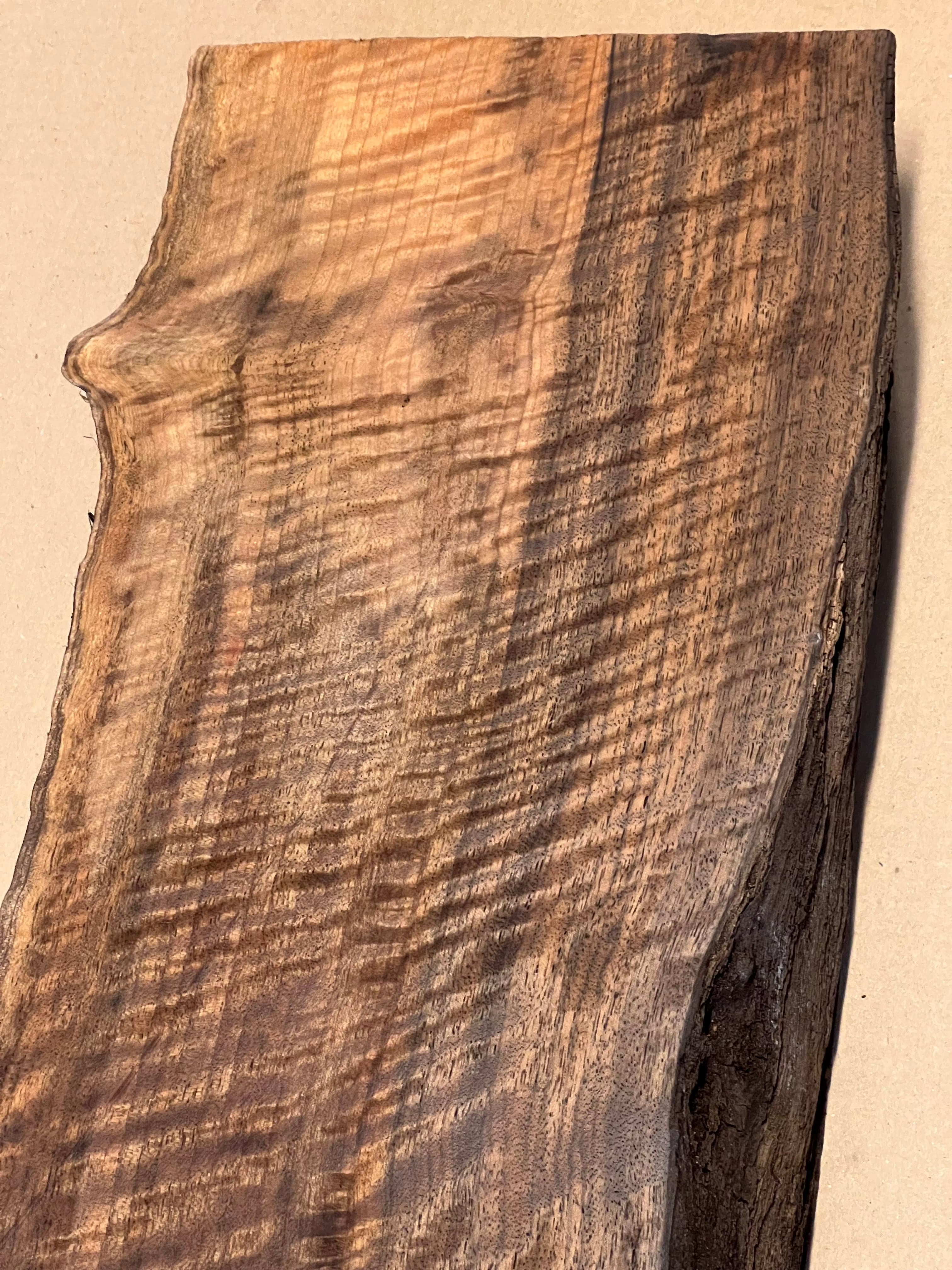 Premium Walnut Large Blank VC02