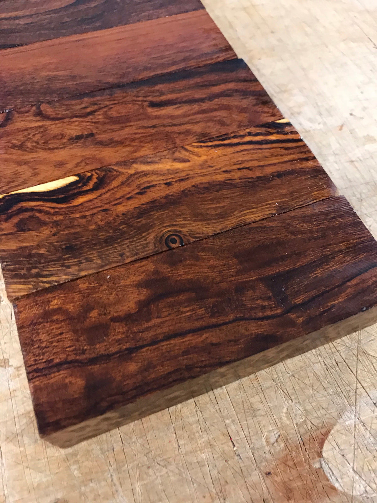 Desert Ironwood