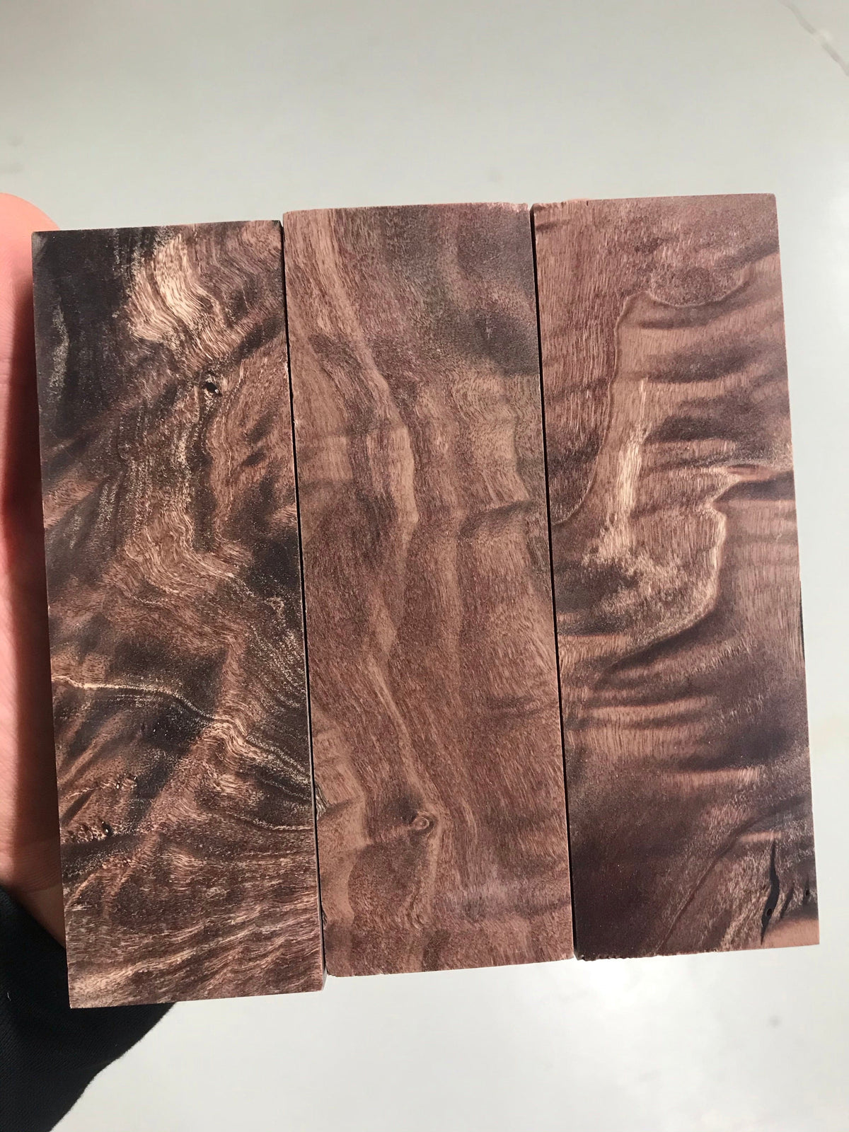 Flame poplar - Brown