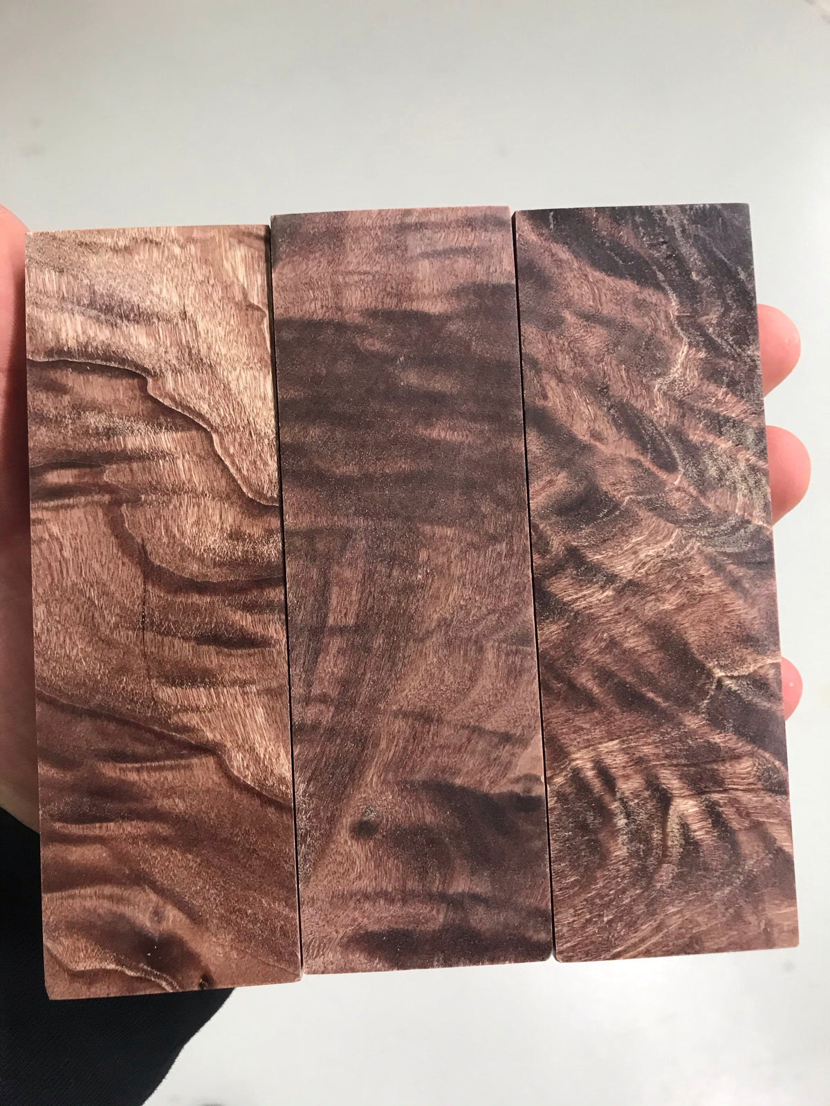 Flame poplar - Brown