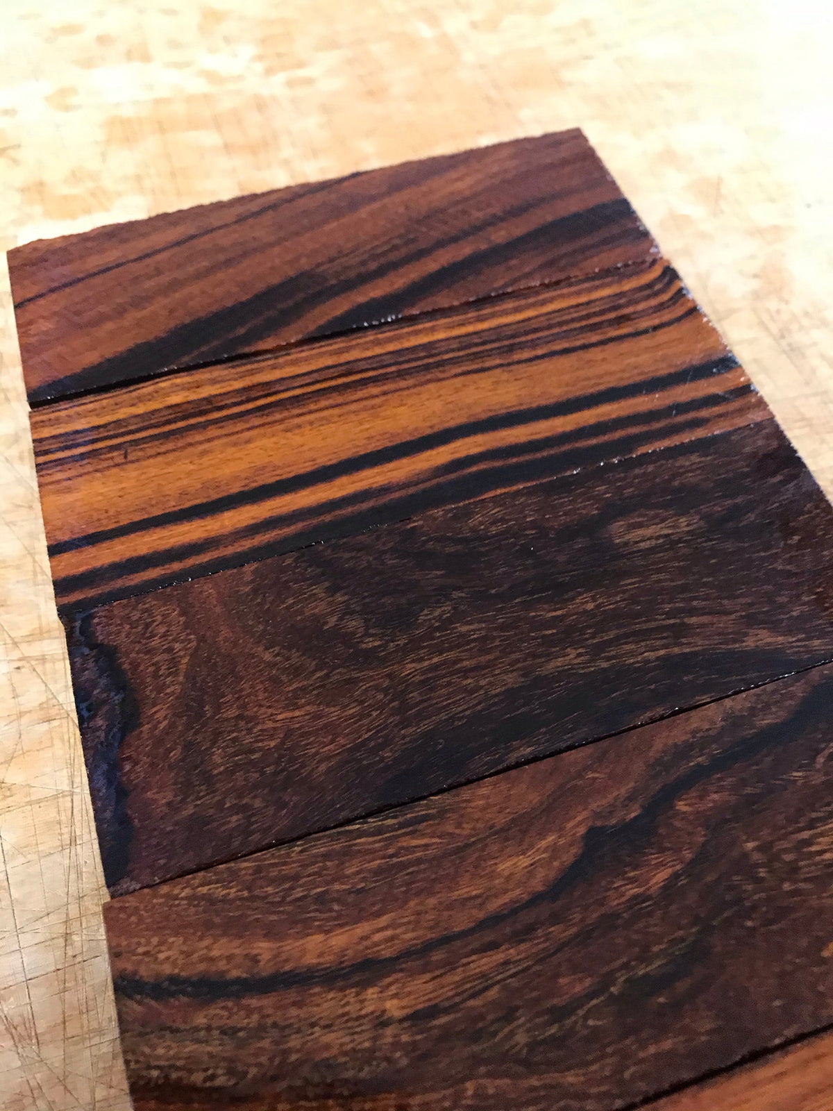 Desert Ironwood