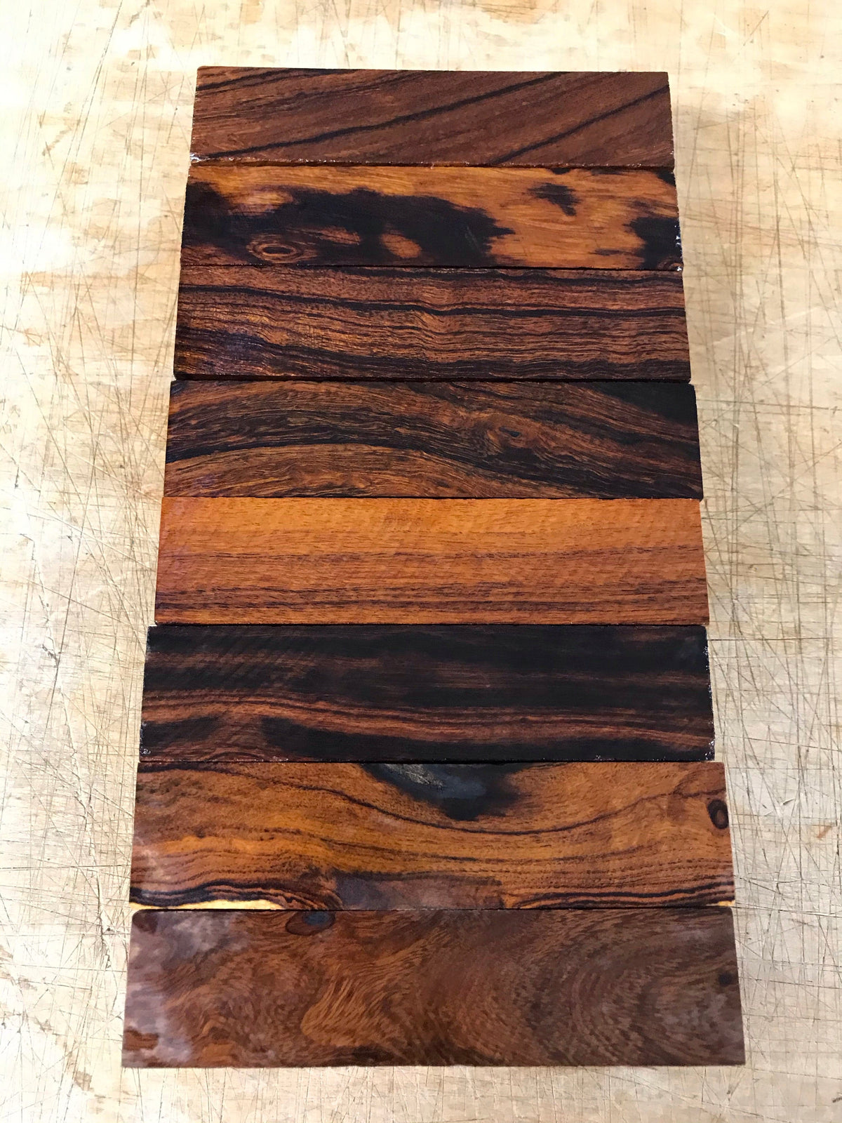 Desert Ironwood