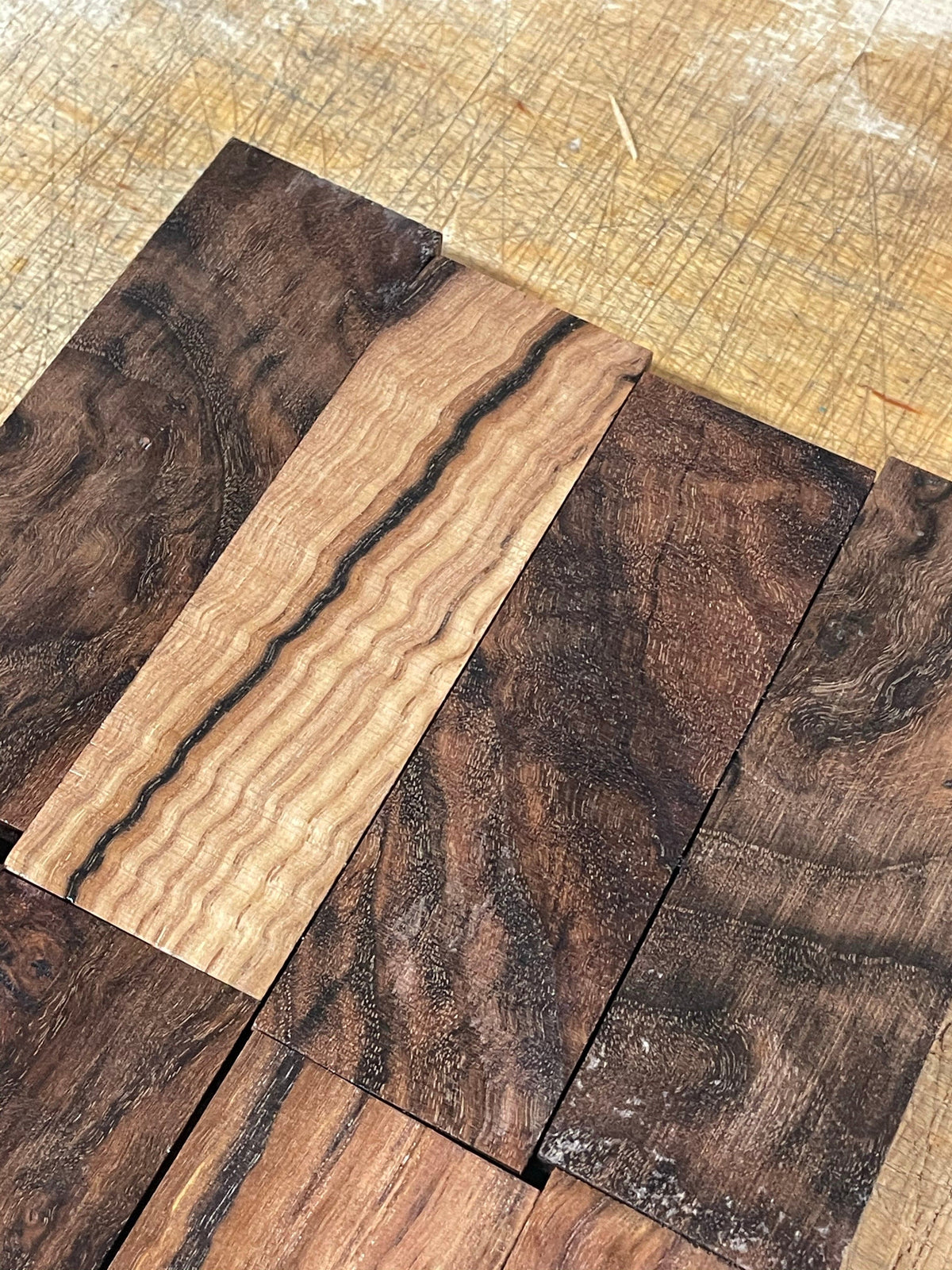 Chestnut (stabilized)