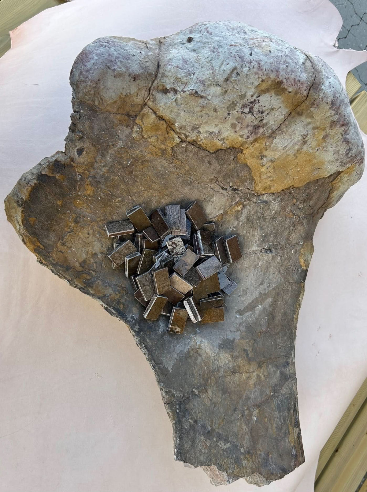 Dinosaur Fossil Fragment 20x35x20mm
