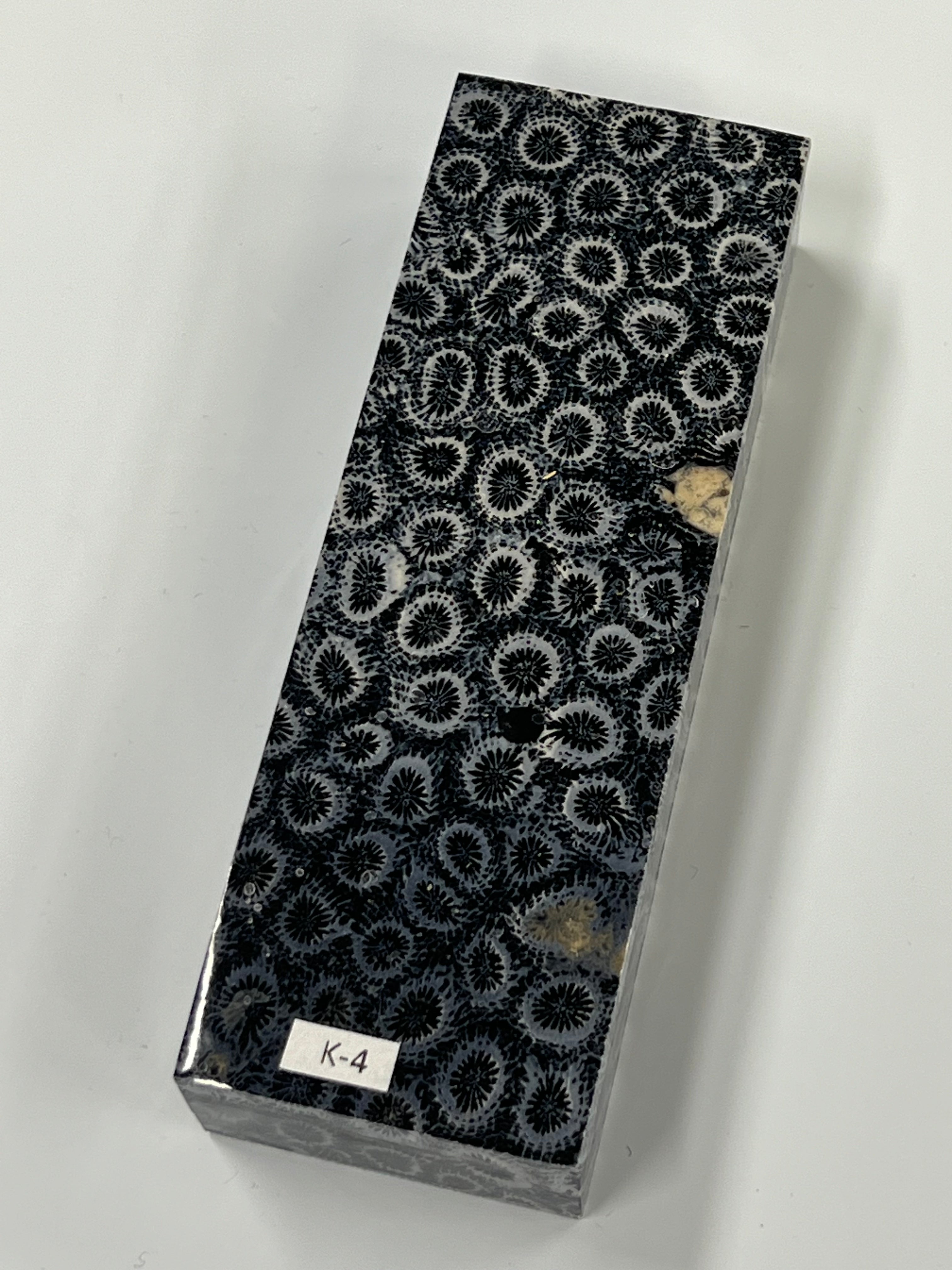 Fossil coral handle blank K4 (black)