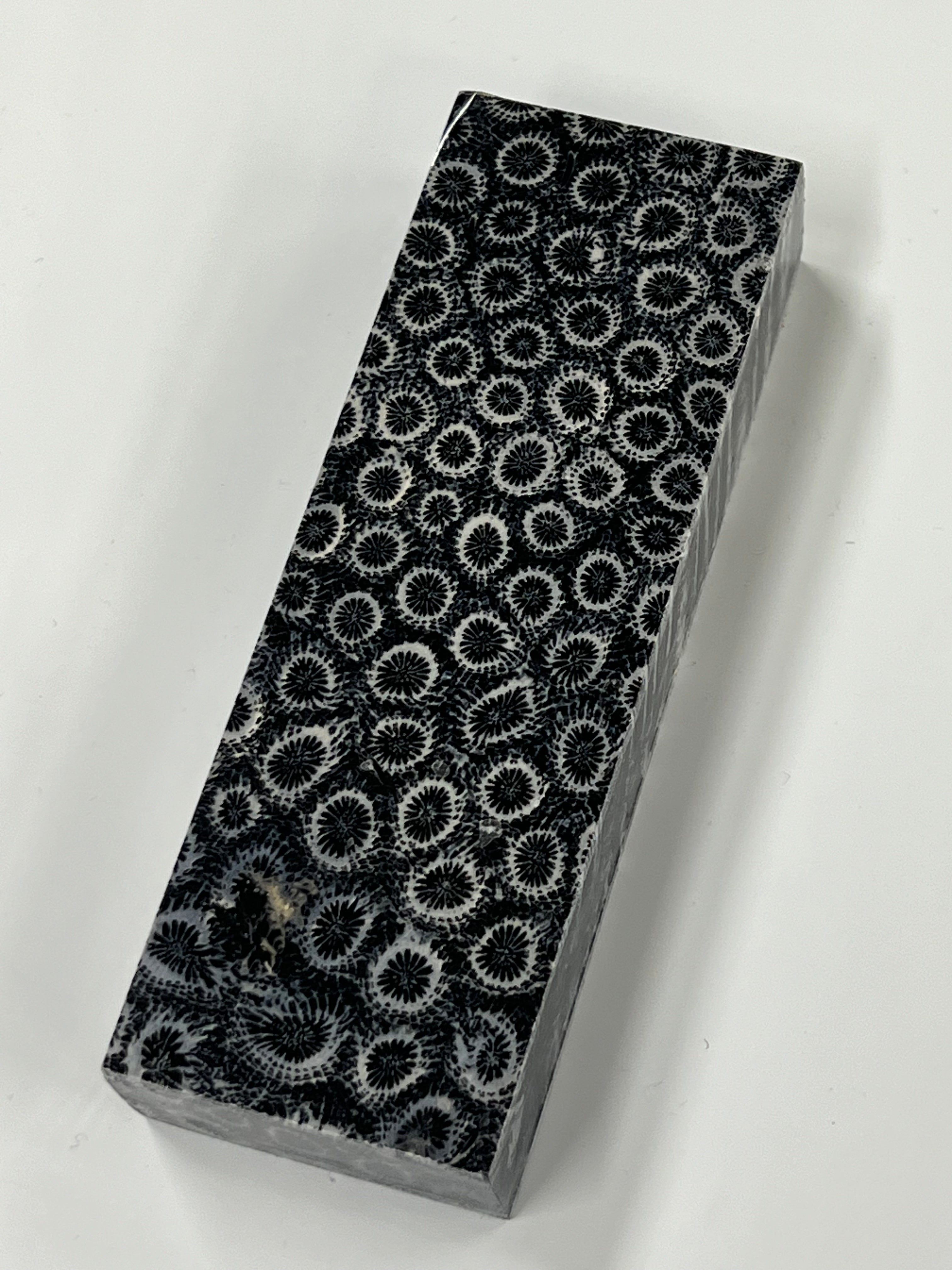 Fossil coral handle blank K4 (black)