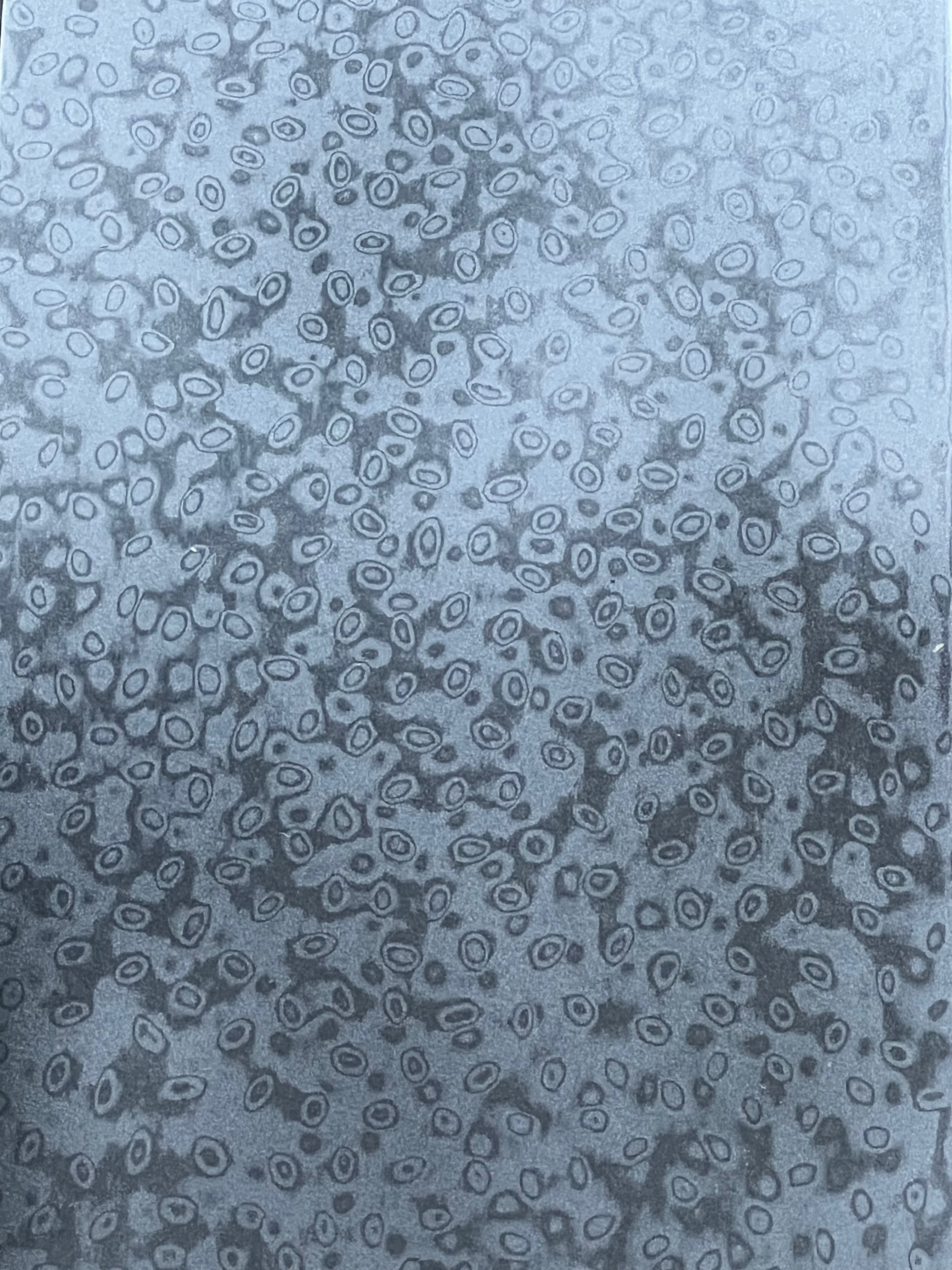 Damanox VG10 - Stainless Damask plate with a core of VG-10