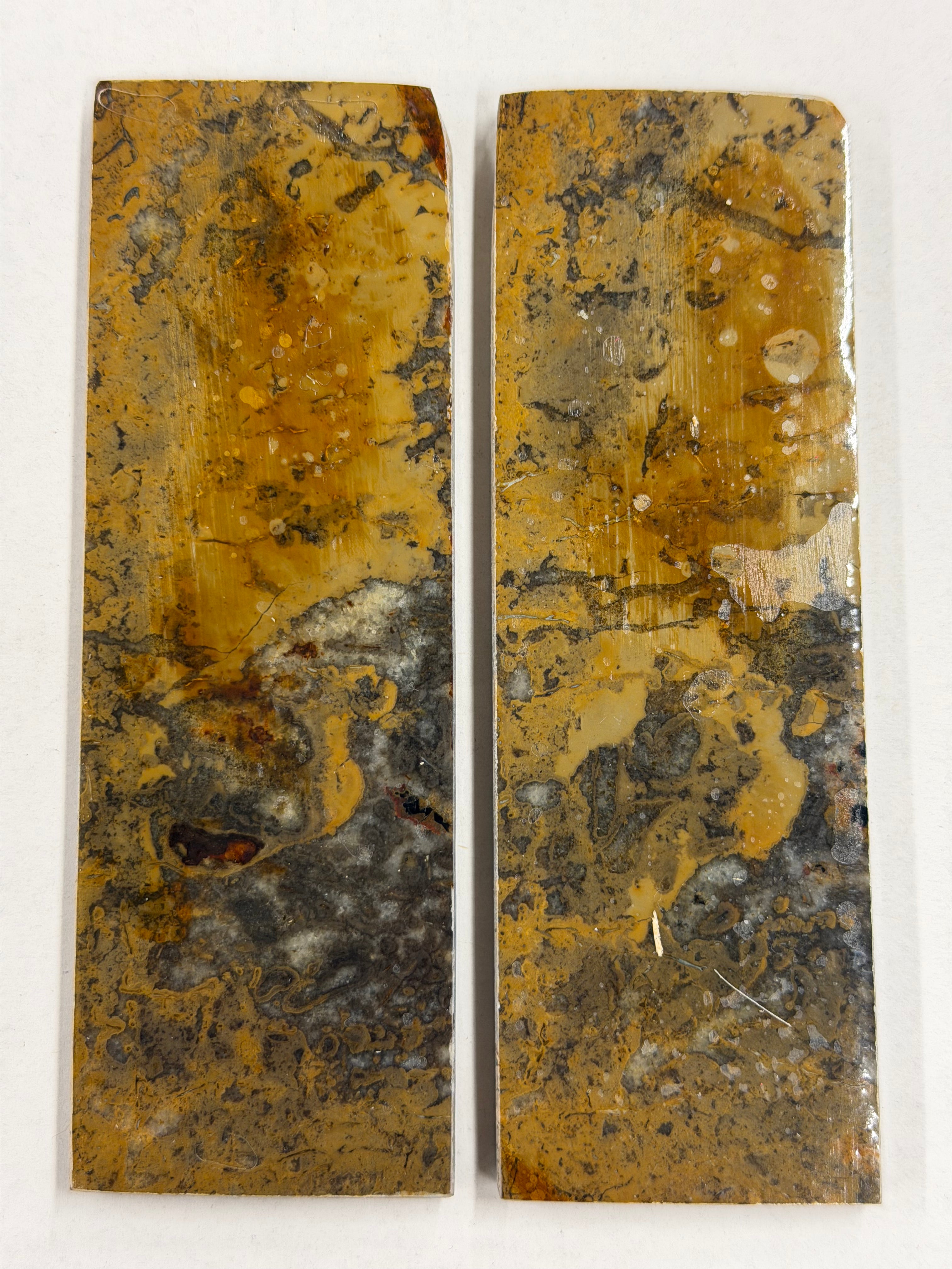 Dinosaur Fossil Handle Plate Set DFS-1