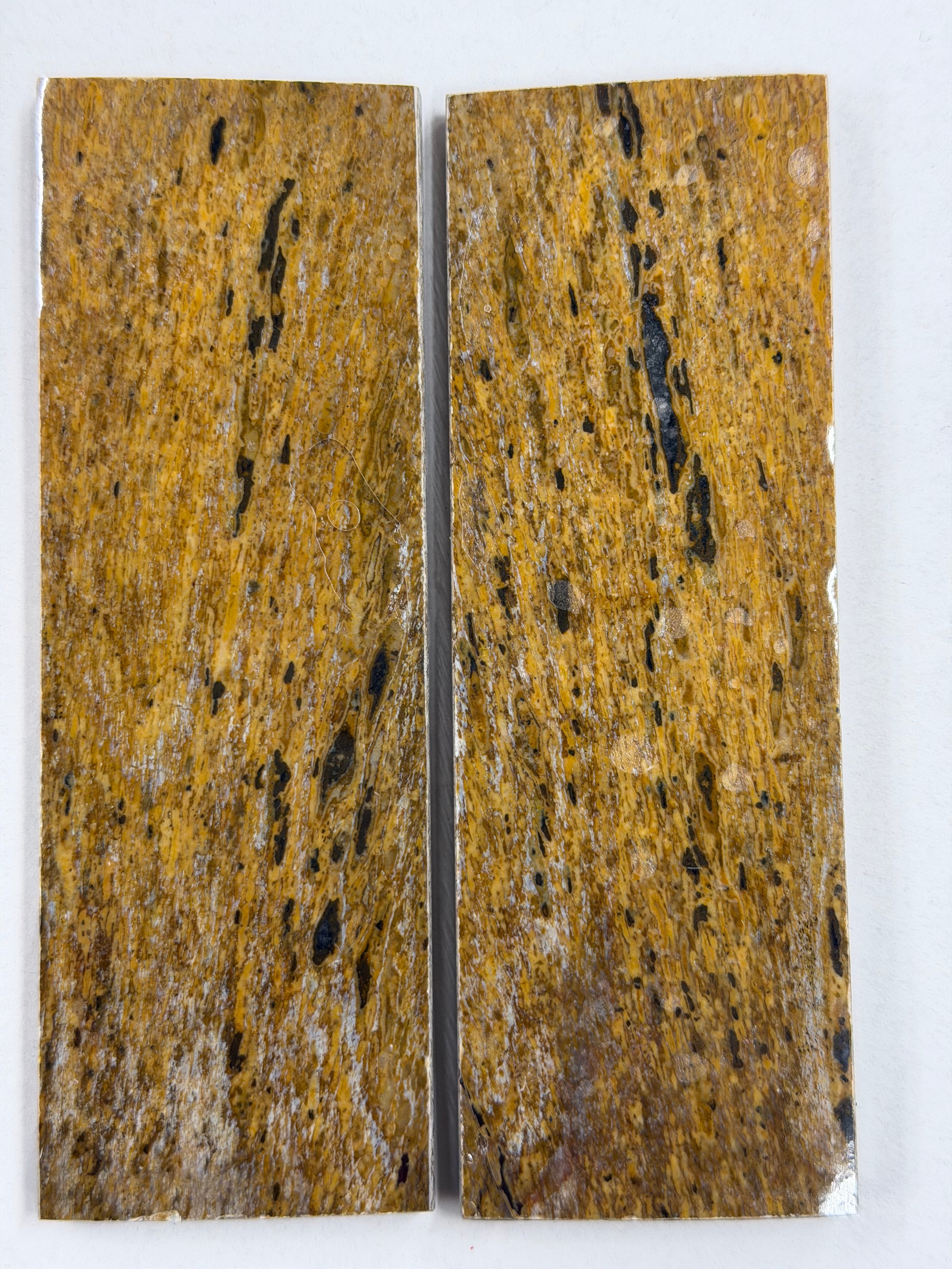 Dinosaur Fossil Handle Plate Set DFS-2
