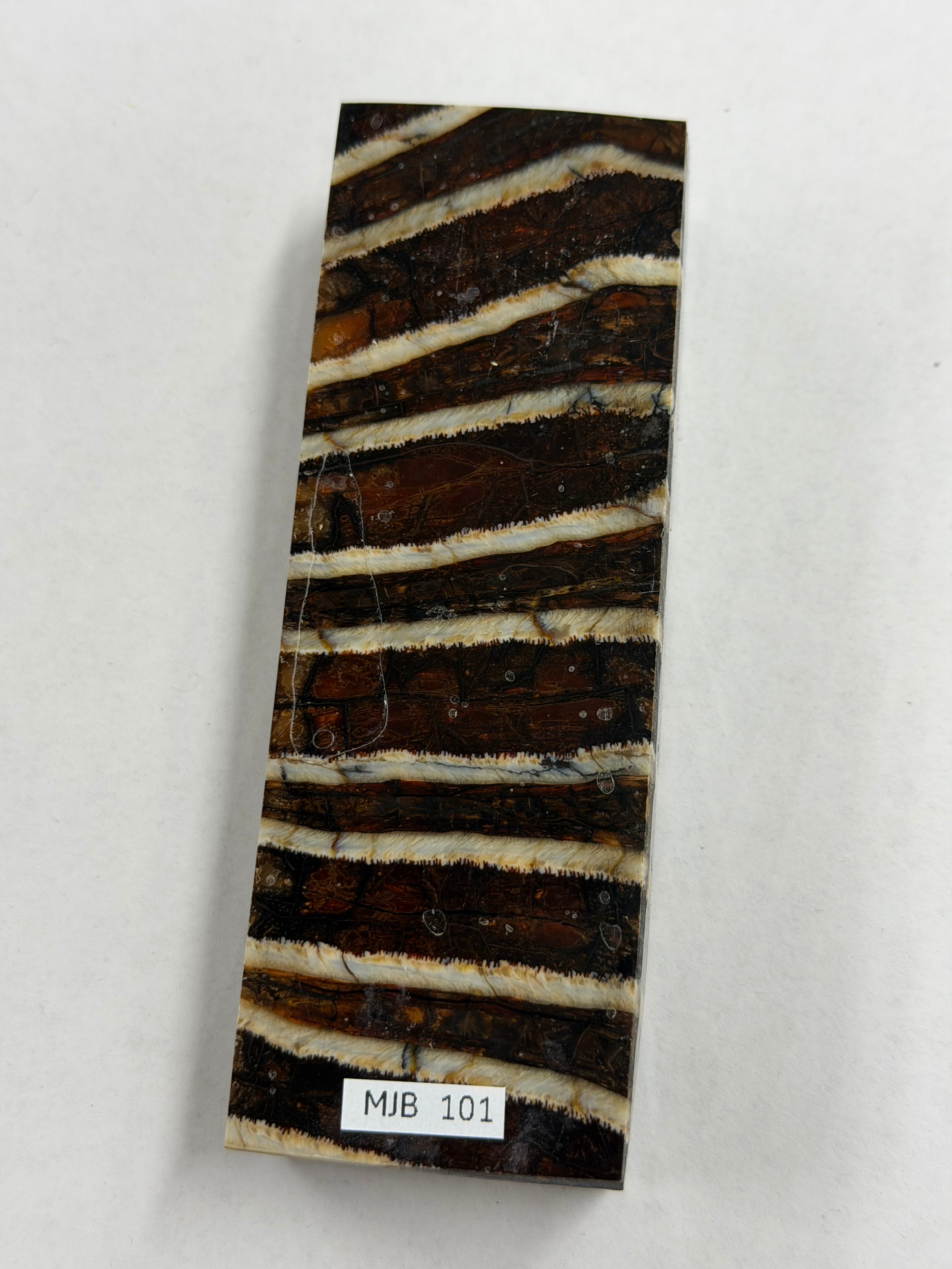 Mammoth molar handle blank blokk MJB 101