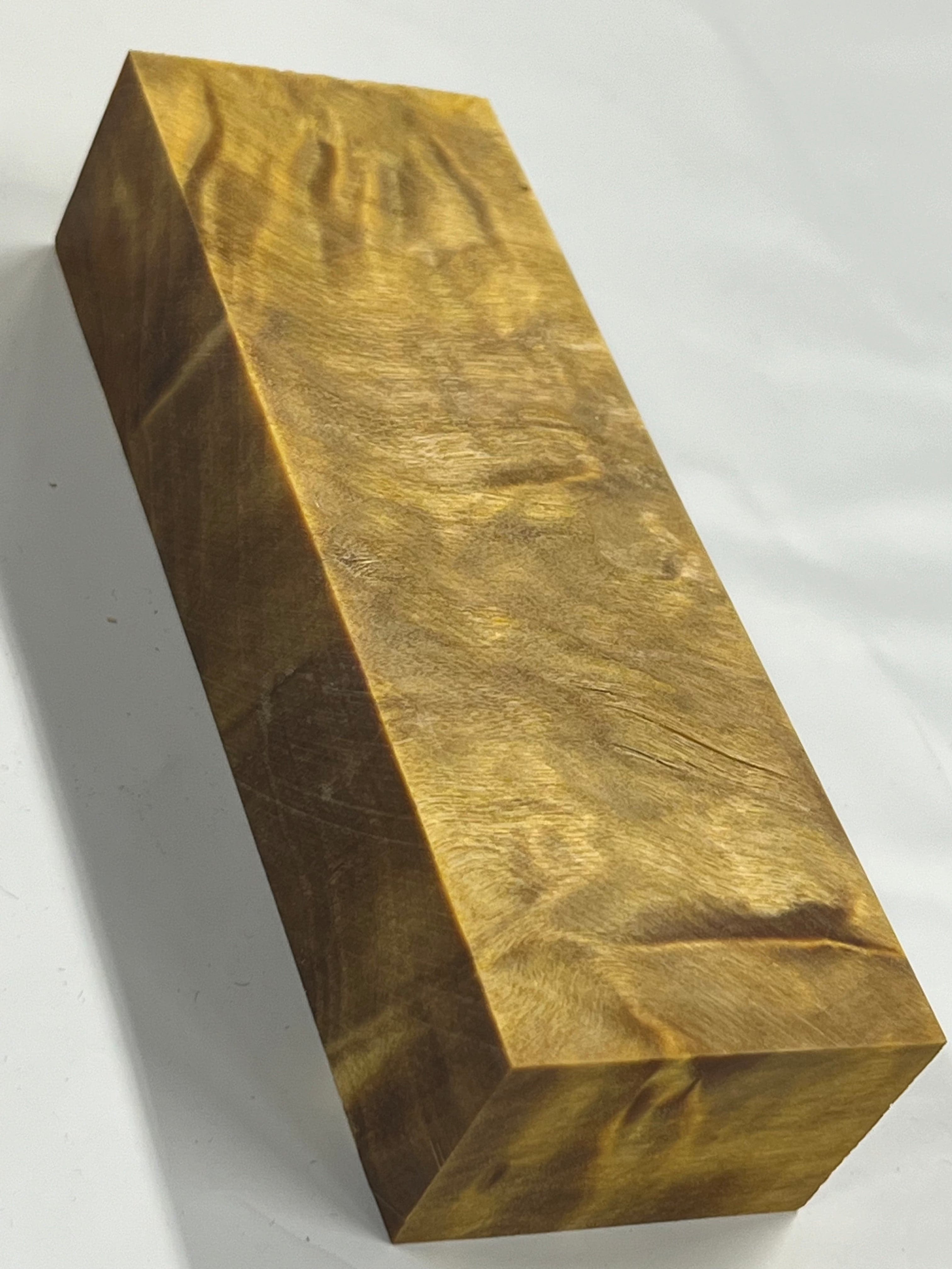 Flame Poplar - Yellow