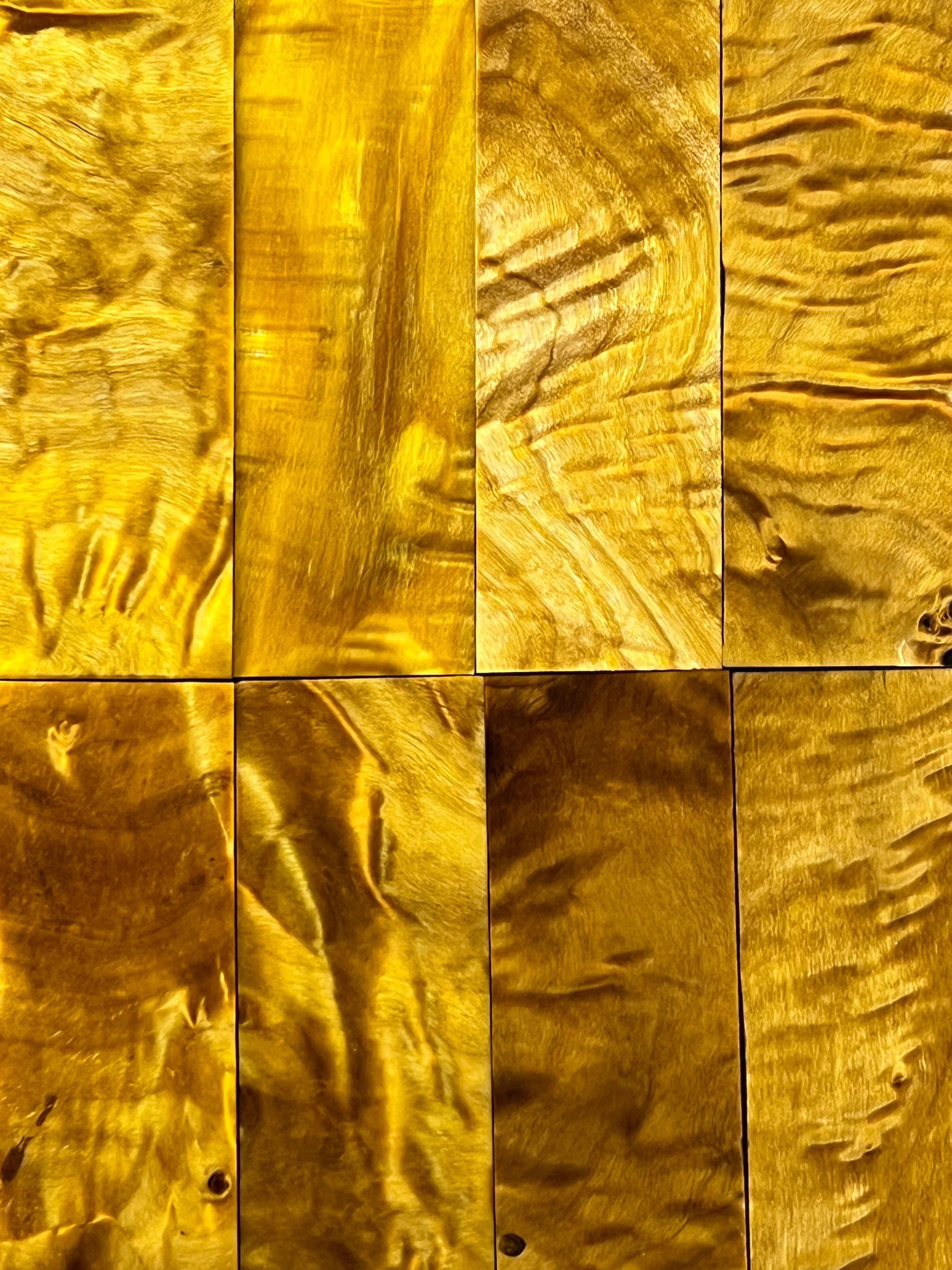 Flame Poplar - Yellow