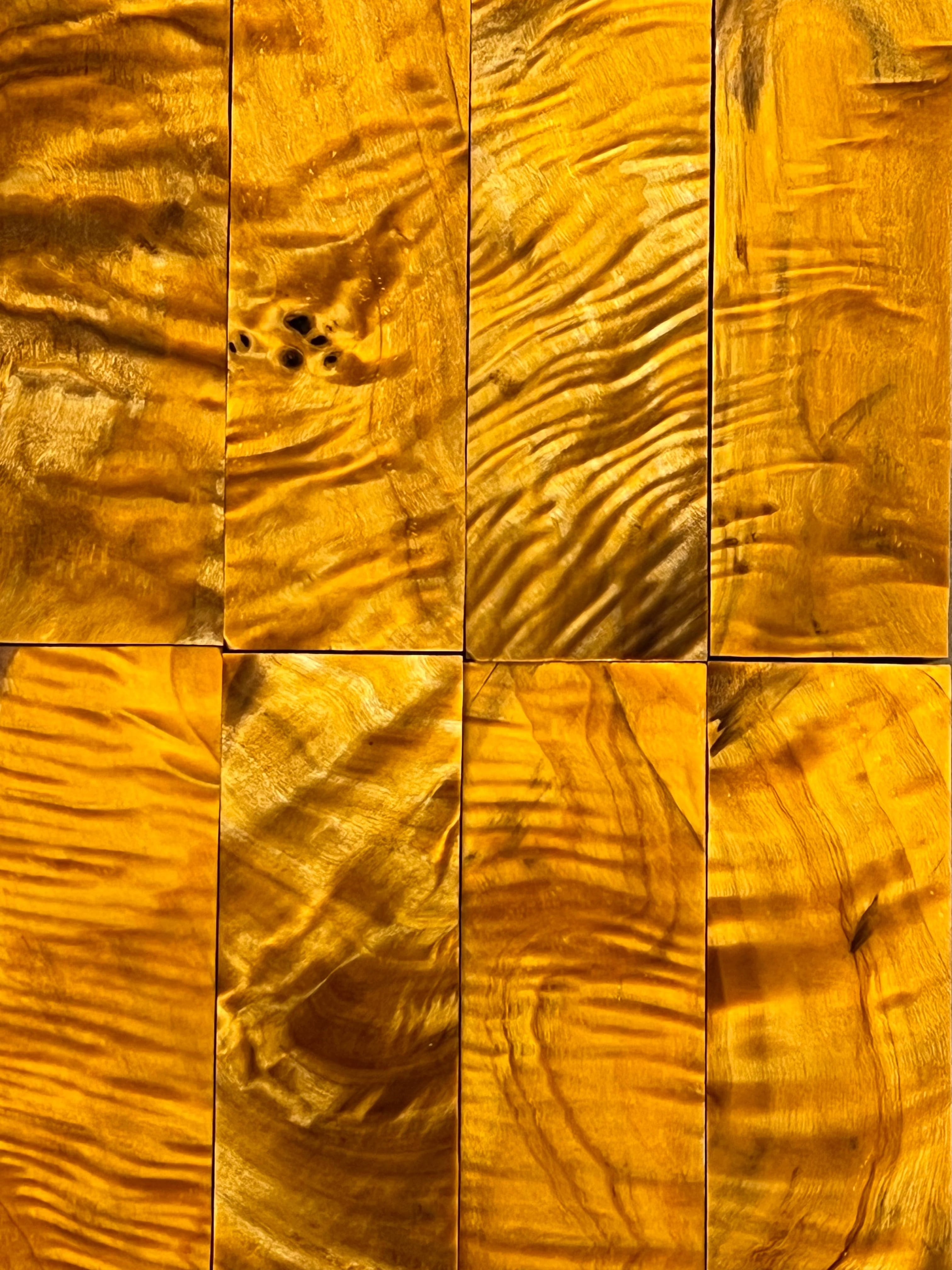 Flame Poplar - Orange