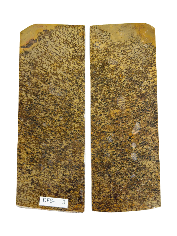 Dinosaur Fossil Handle Plate Set DFS-3