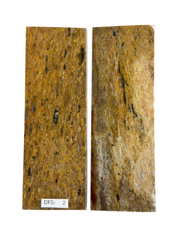Dinosaur Fossil Handle Plate Set DFS-2