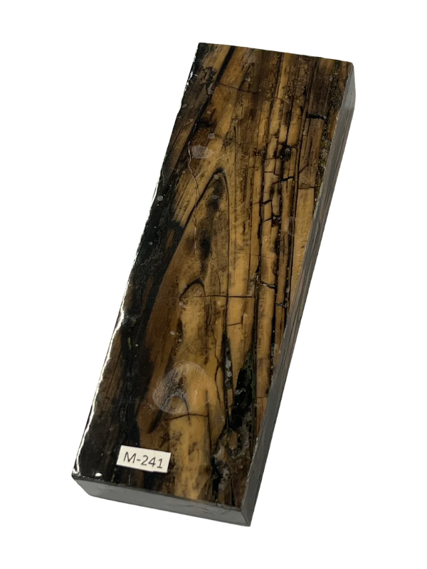 Mammoth tusk handle blank M241 (White)