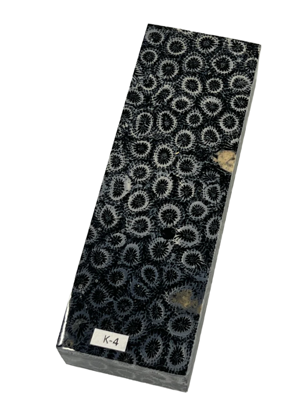 Fossil coral handle blank K4 (black)