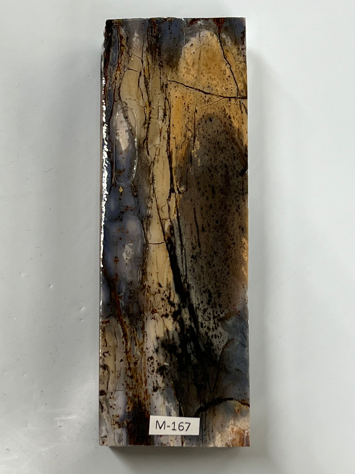Mammoth tusk handle blank M167