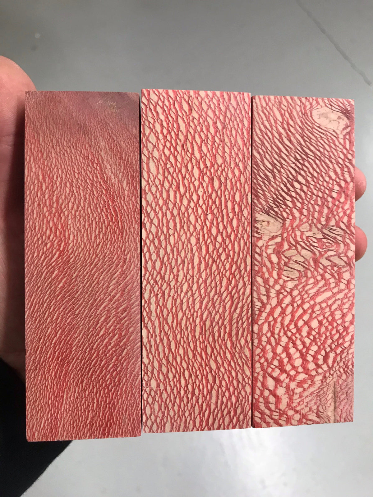 Sycamore - Red