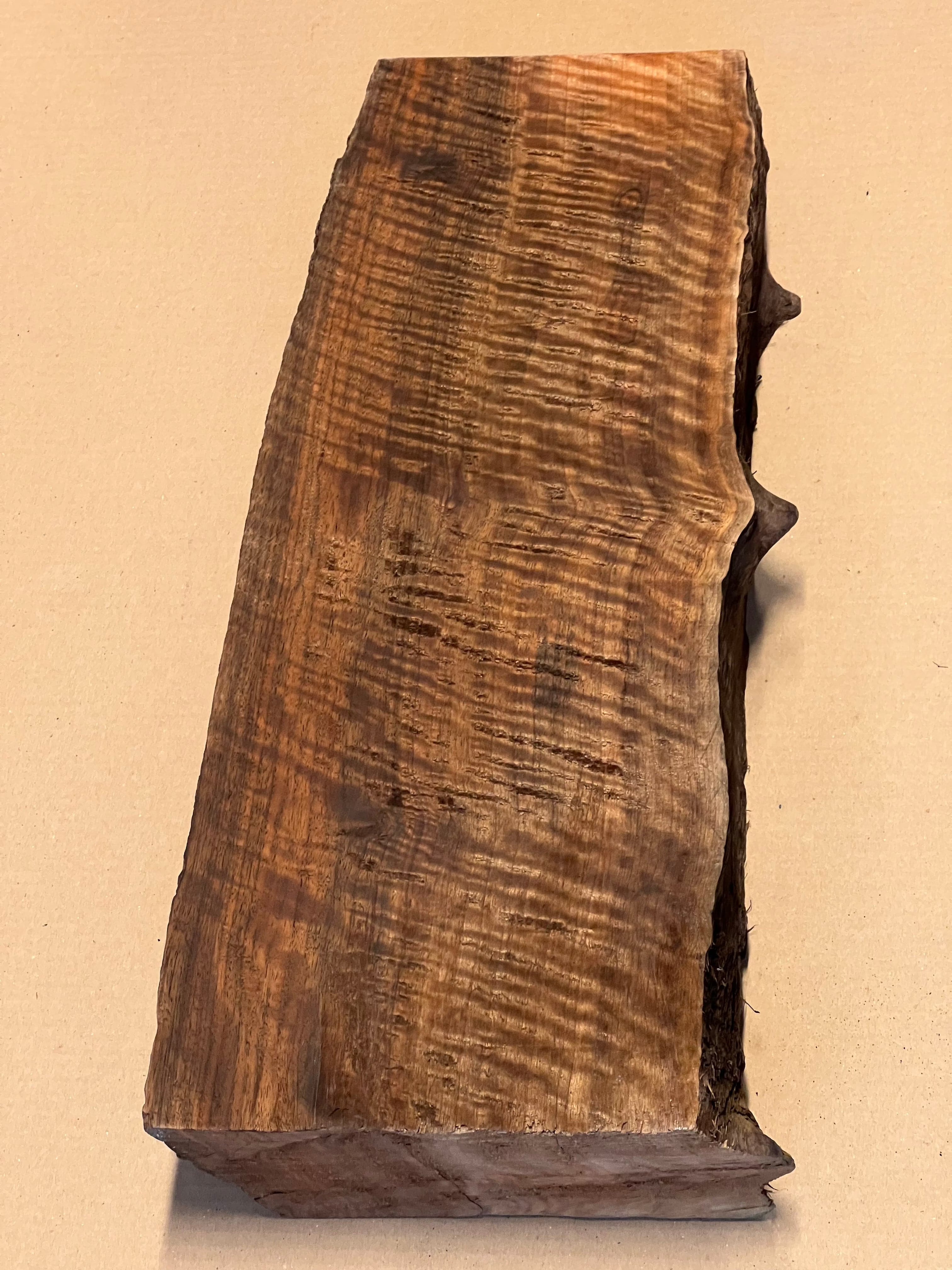 Premium Walnut Large Blank VC02