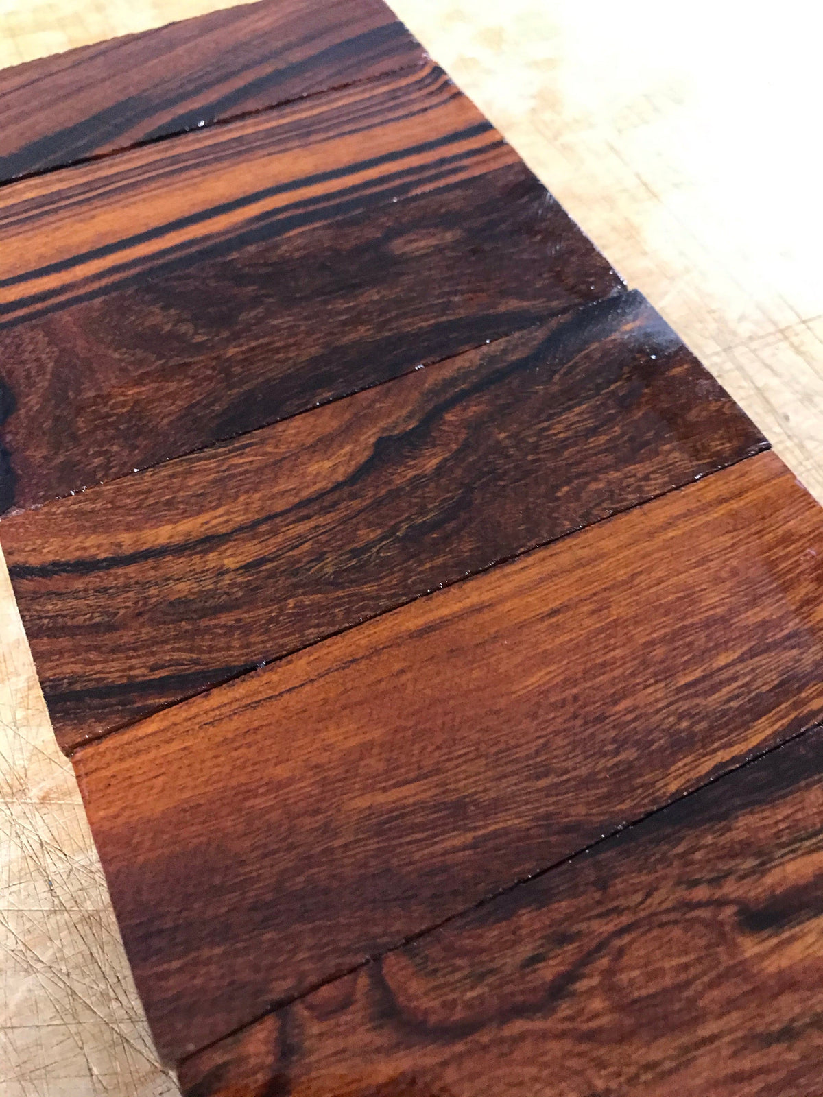 Desert Ironwood