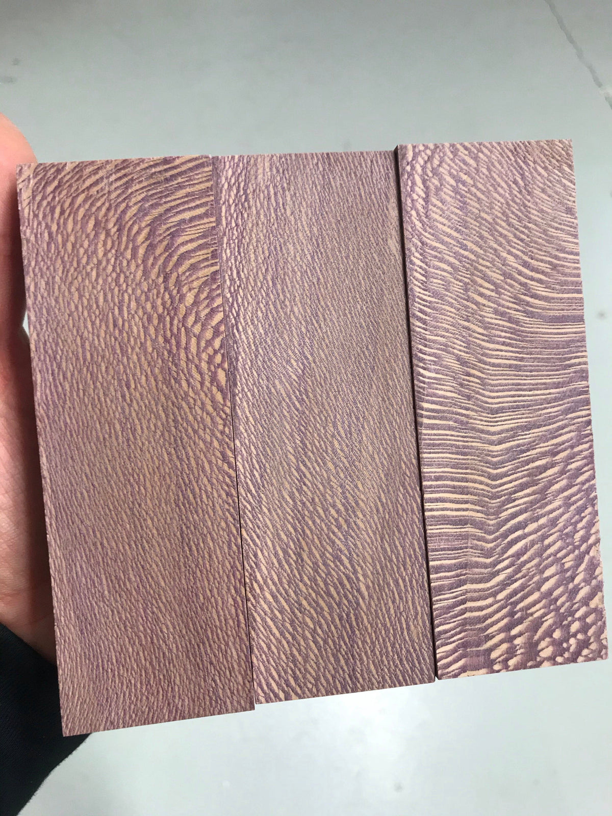 Sycamore - Purple