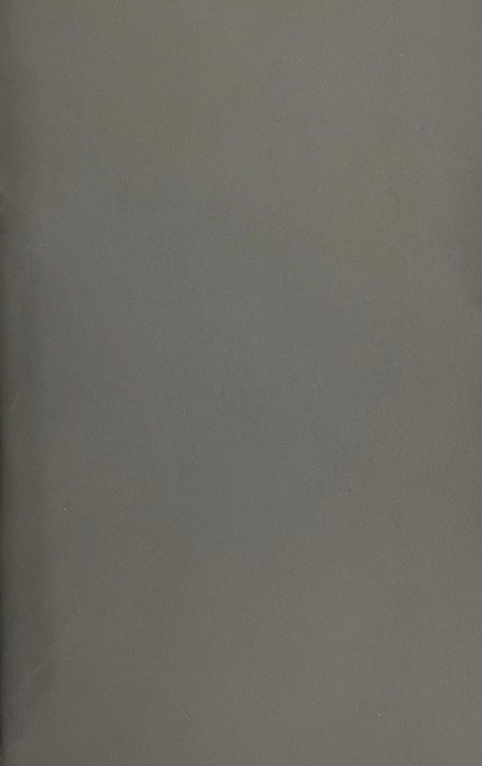 Gray Kydex