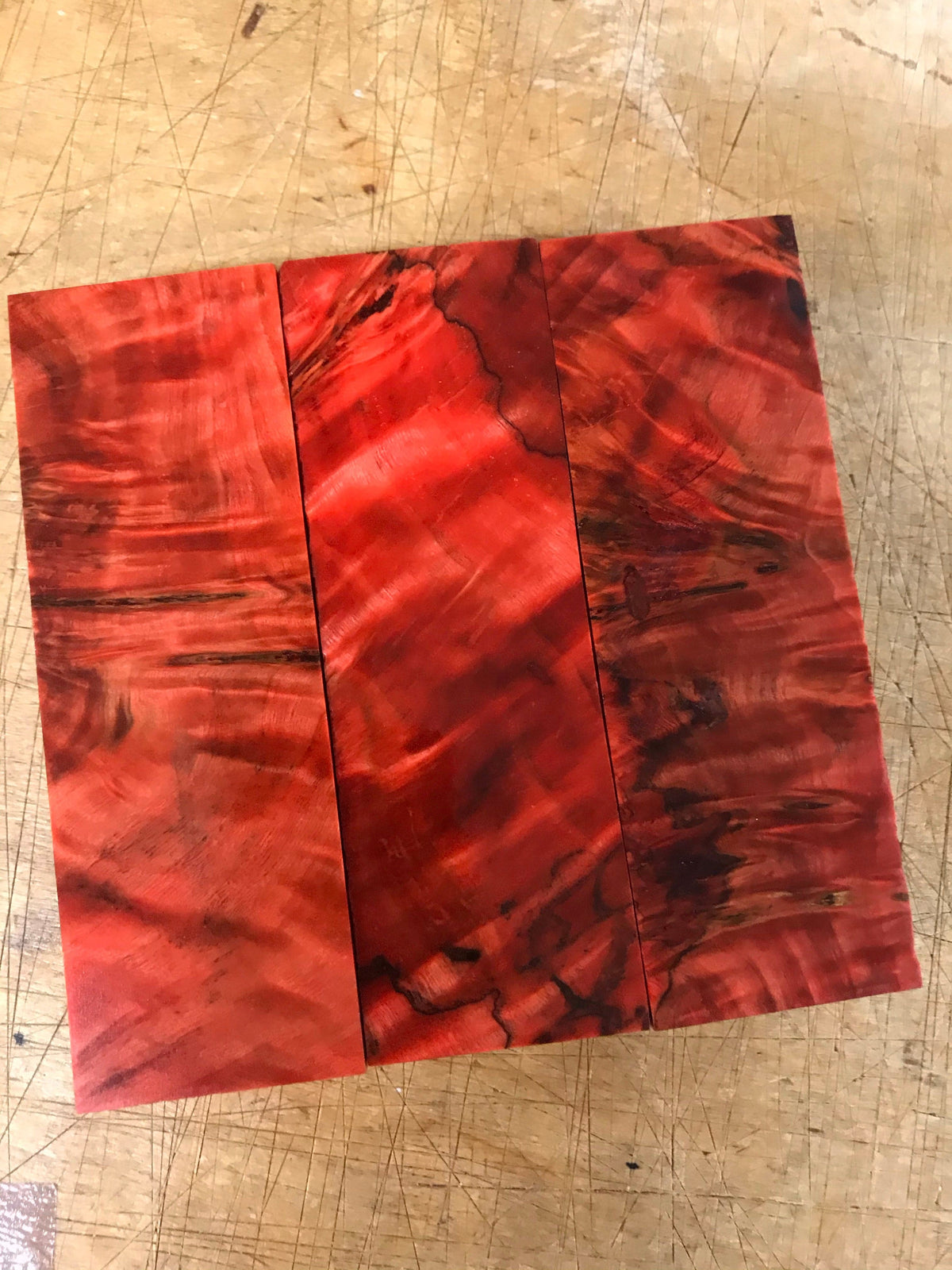 Flame poplar - Red