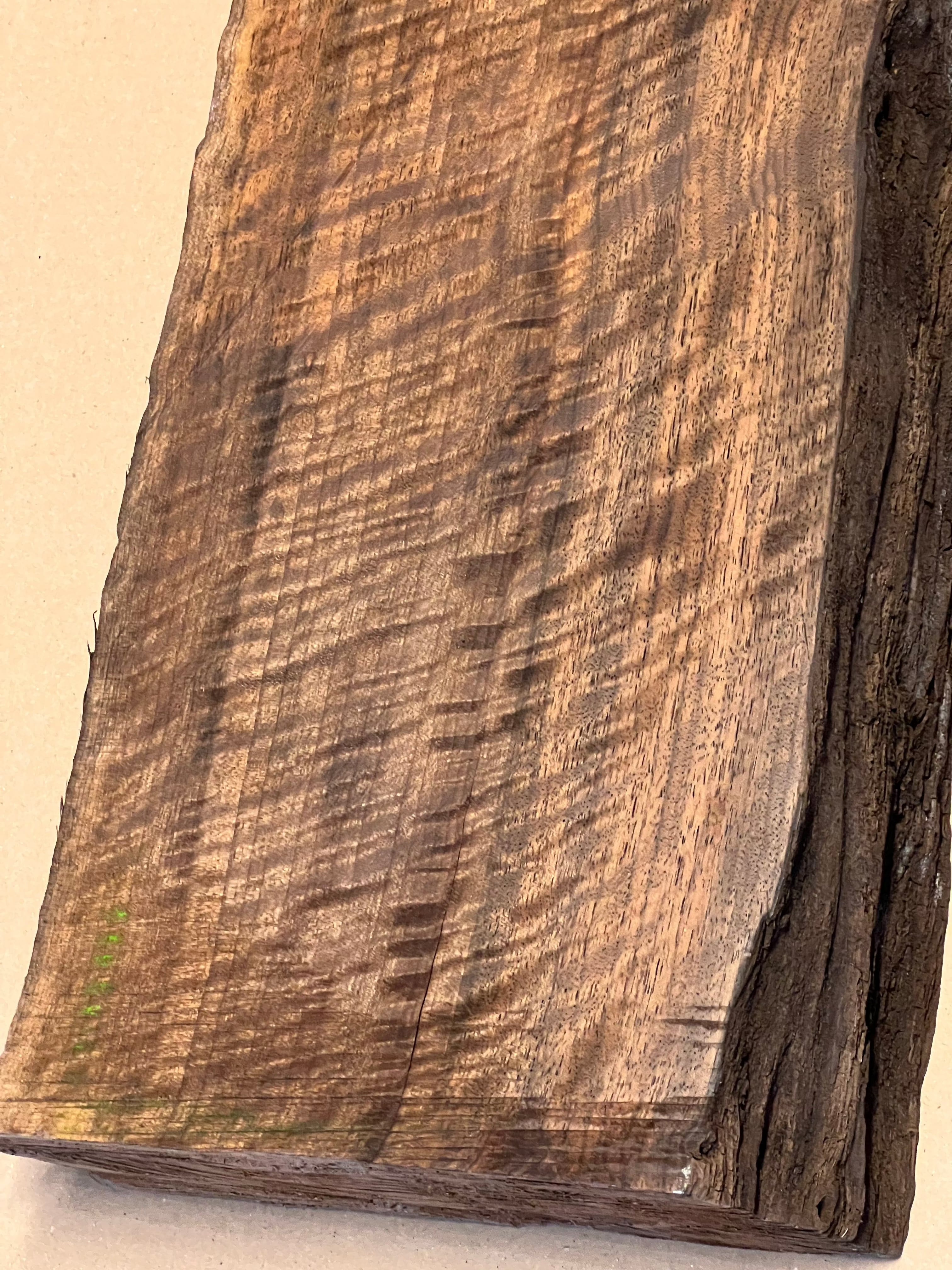 Premium Walnut Large Blank VC02