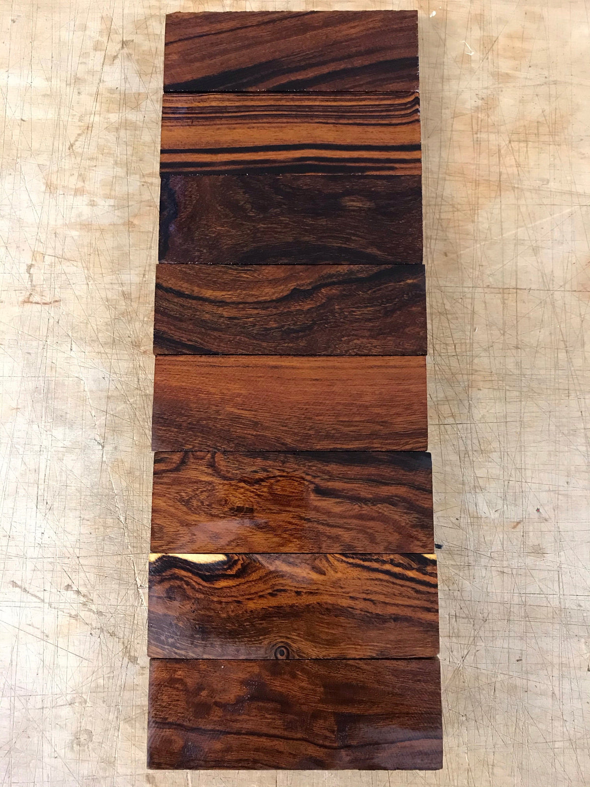 Desert Ironwood
