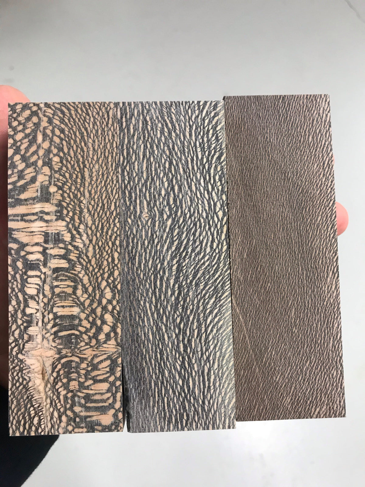 Sycamore - Black