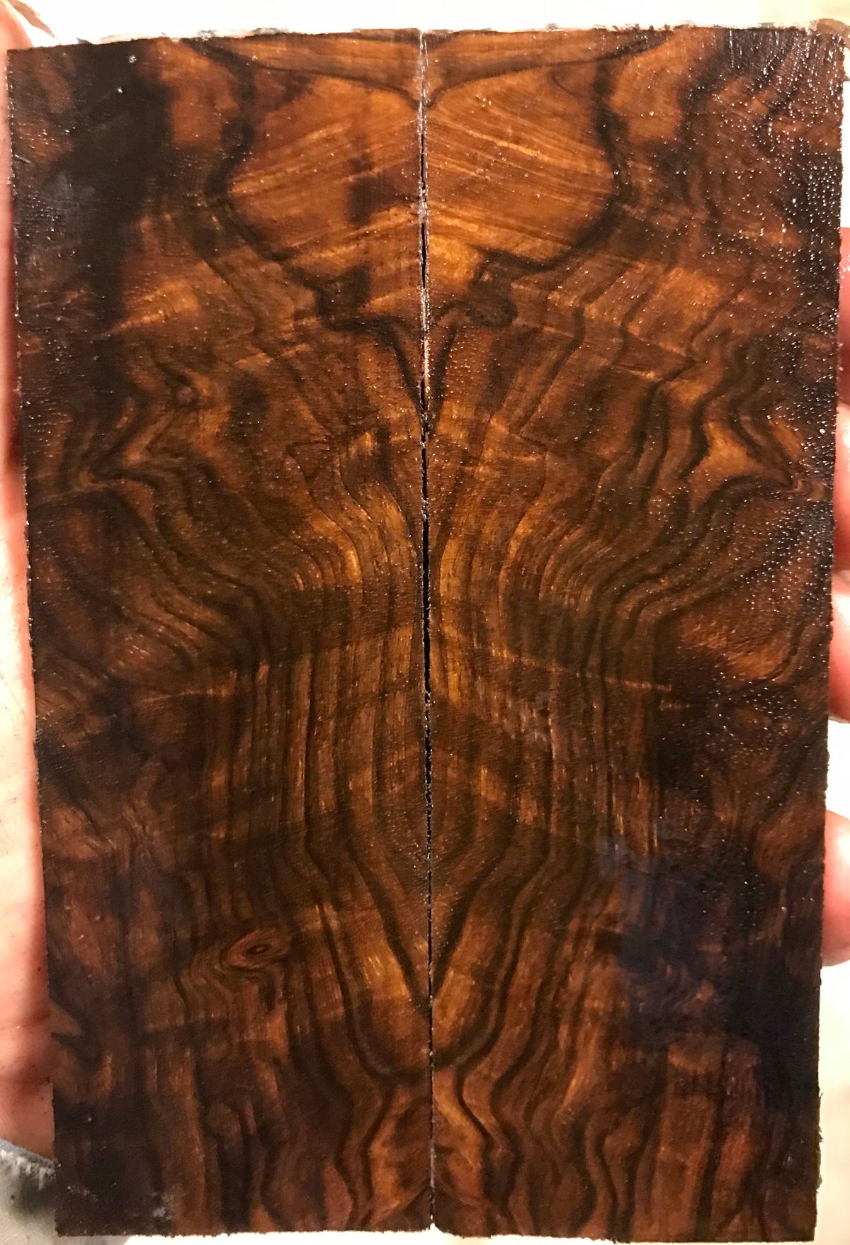 Premium Walnut Handle Blank