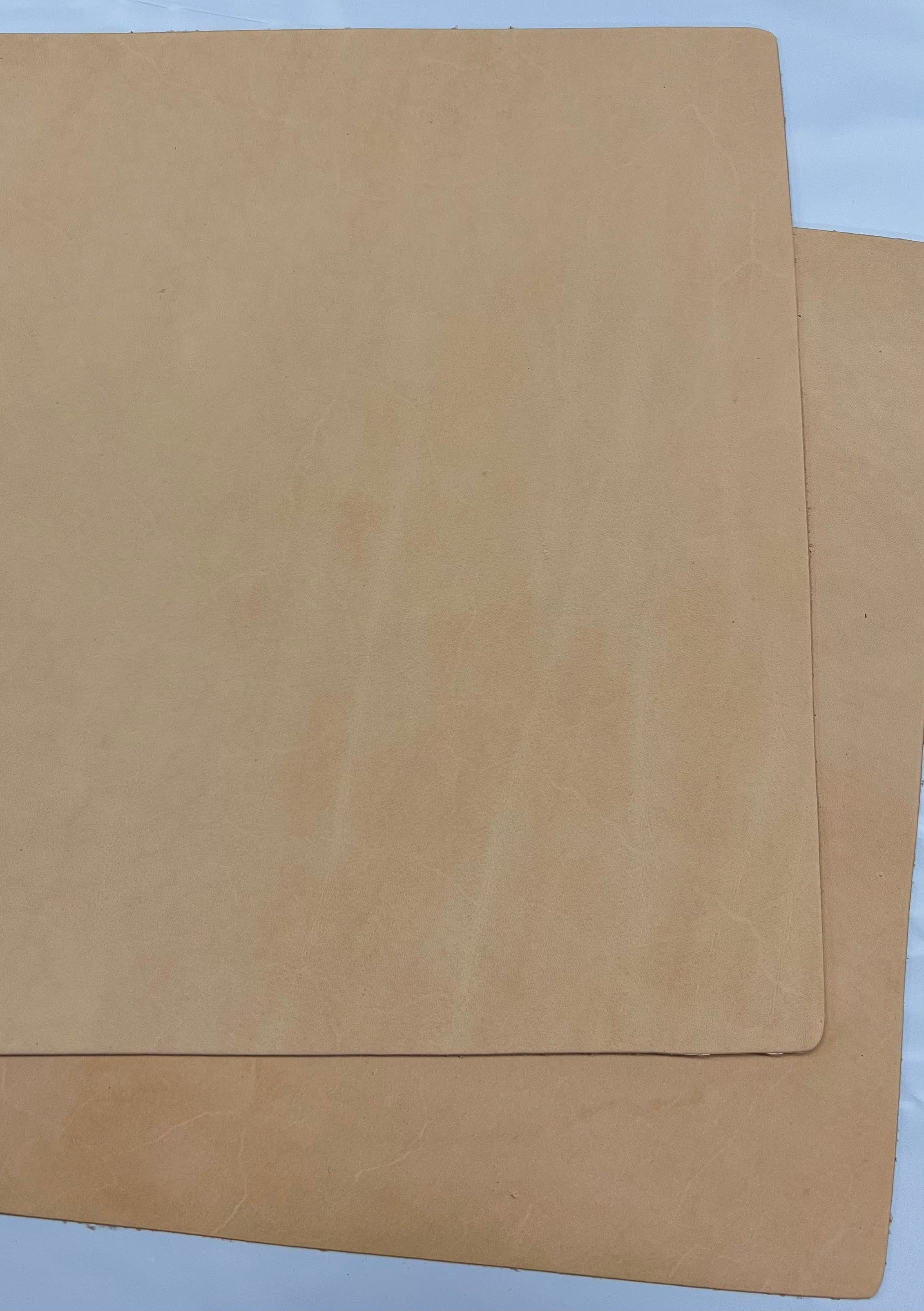 Sheath Leather Finished Dyed 31x31cm